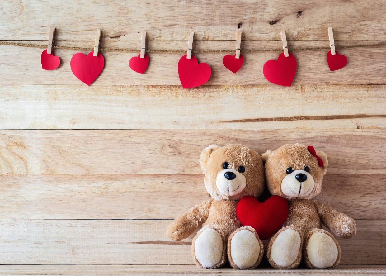 LYWYGG 7X5FT Valentine's Day Backdrops