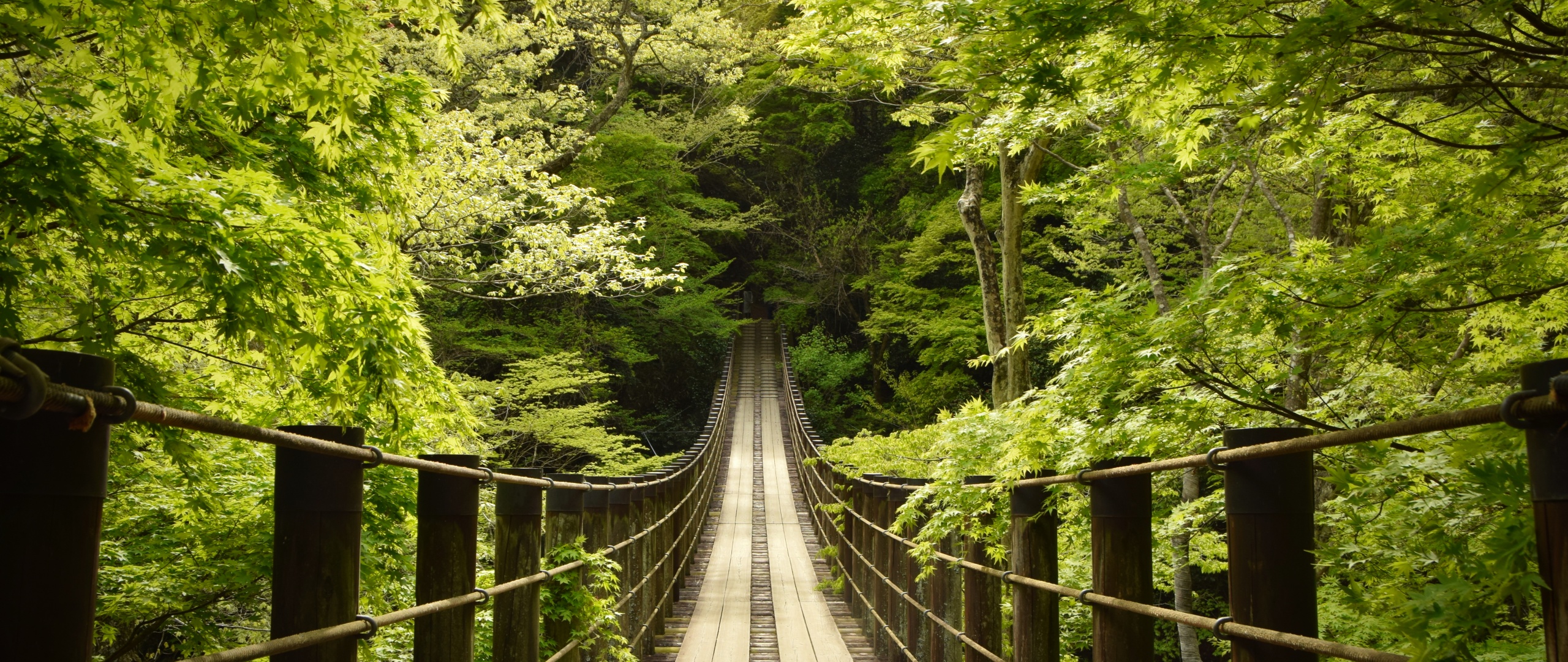Hananuki Gorge Wallpaper 4K, Japan