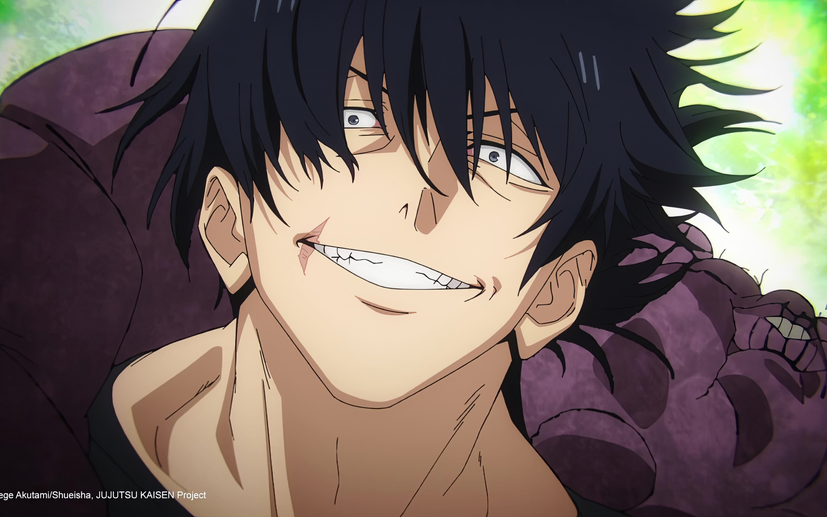 Toji Fushiguro Desktop Wallpapers Wallpaper Cave