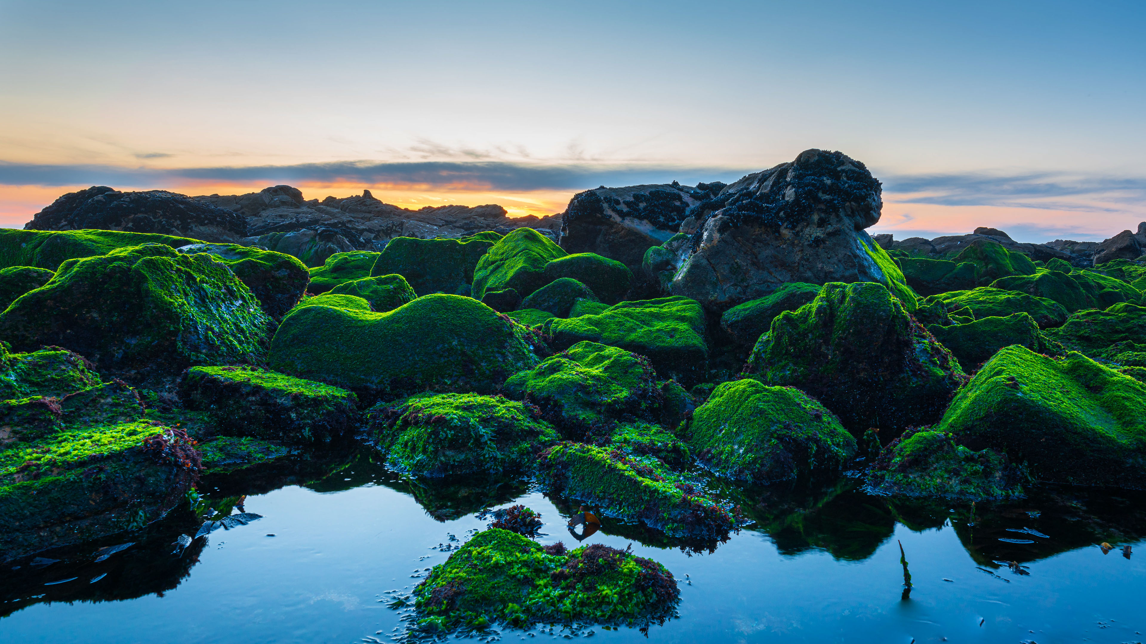 Seashore Wallpaper 4K, Green Rocks, Sunset
