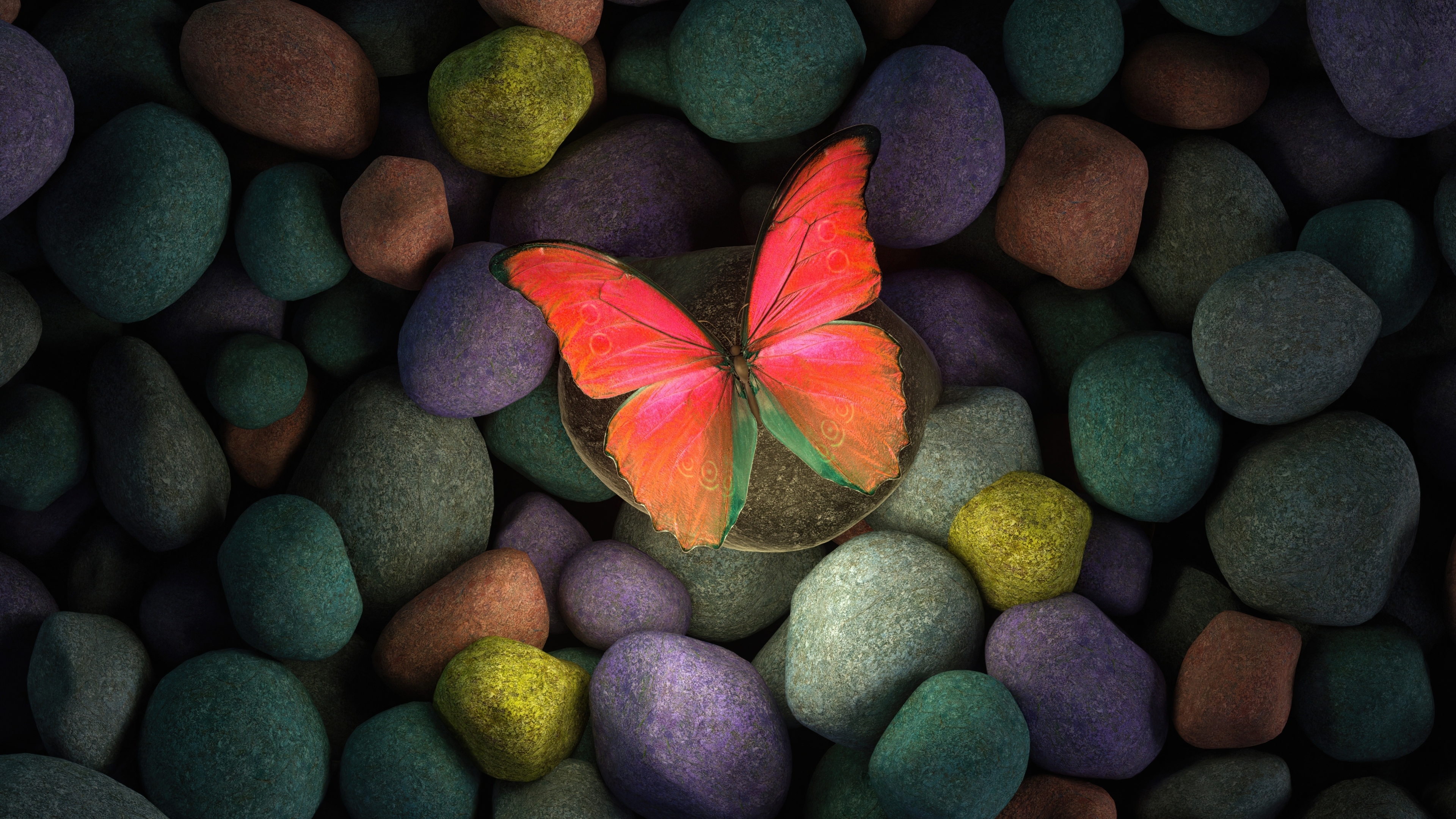 Download wallpaper 3840x2160 butterfly