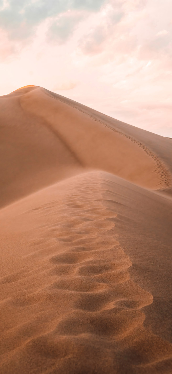 Sand Dunes In The Brown Desert 4K Phone