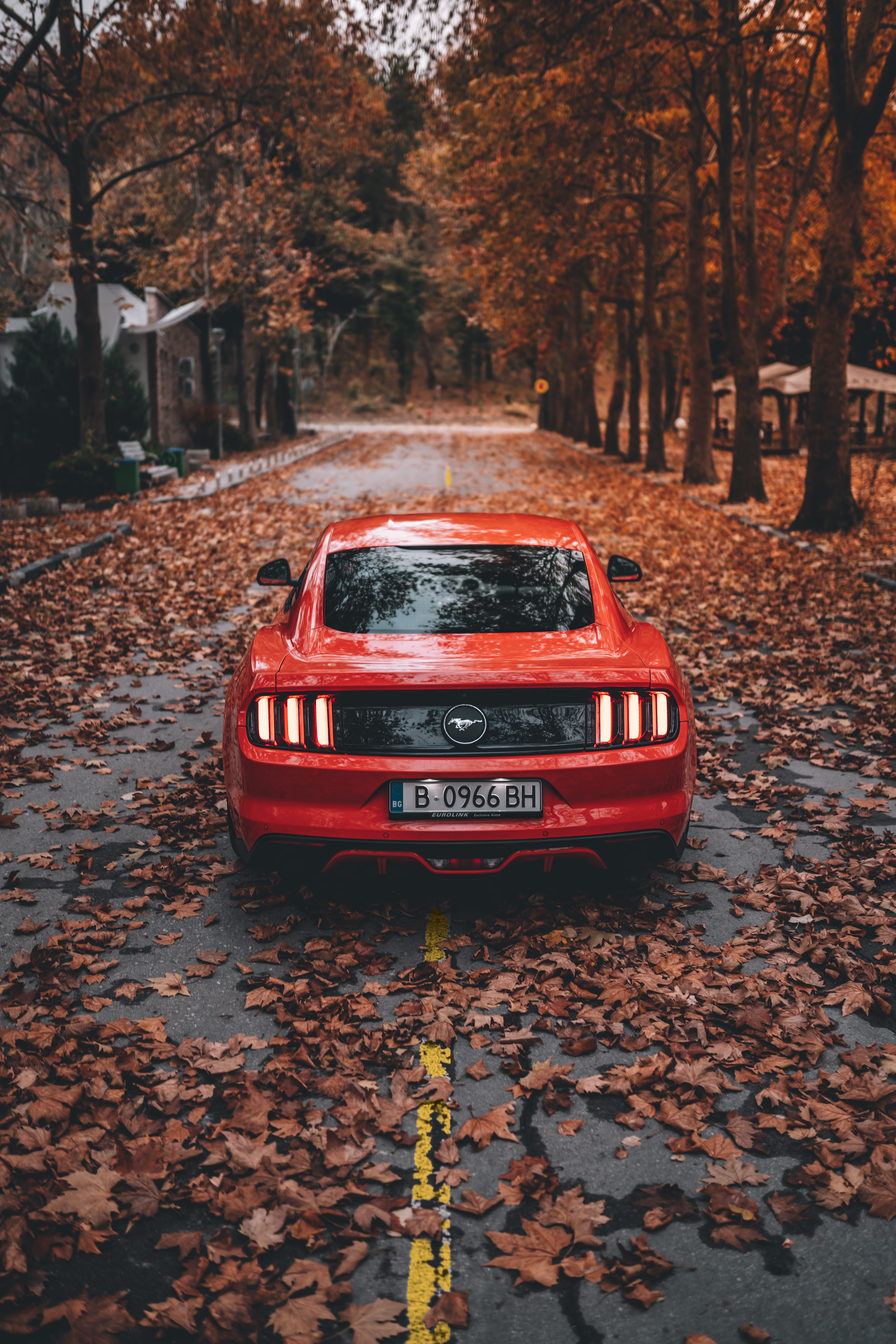 Download Ford Mustang wallpaper