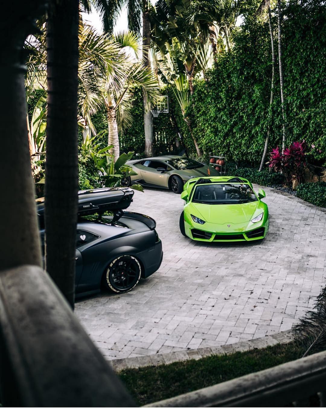 Poison green vibes #Hypedstreets