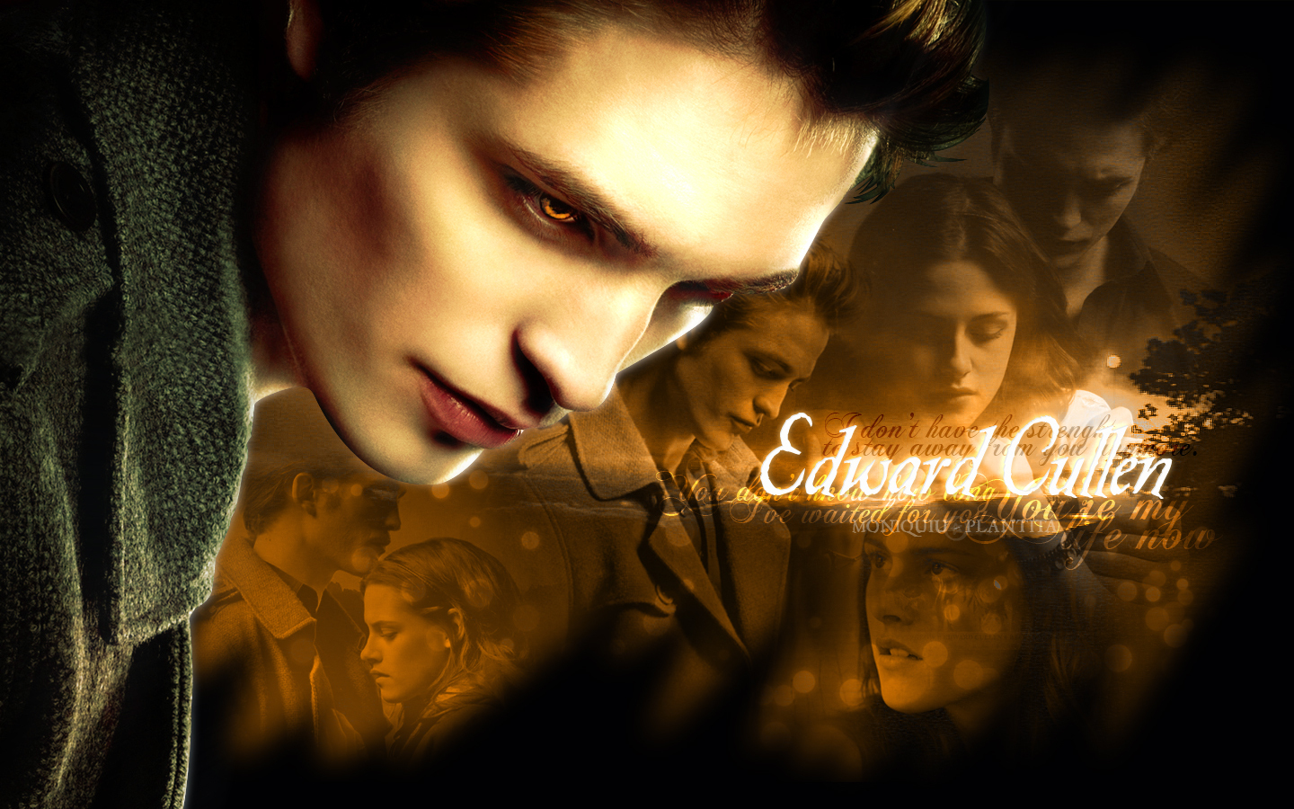 Team Edward Cullen ForeverT.E.C.F