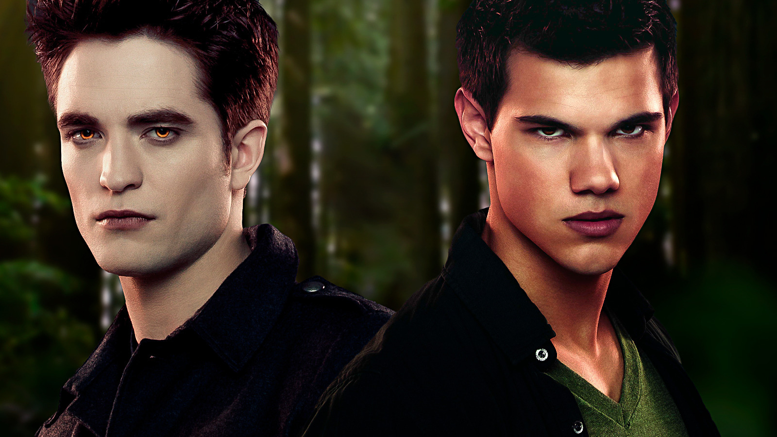 Team Edward Vs Team Jacob Fan War
