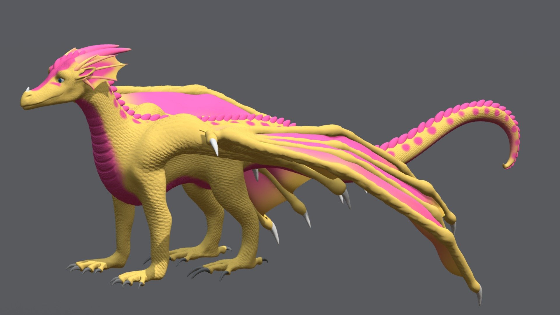 Kinkajou model