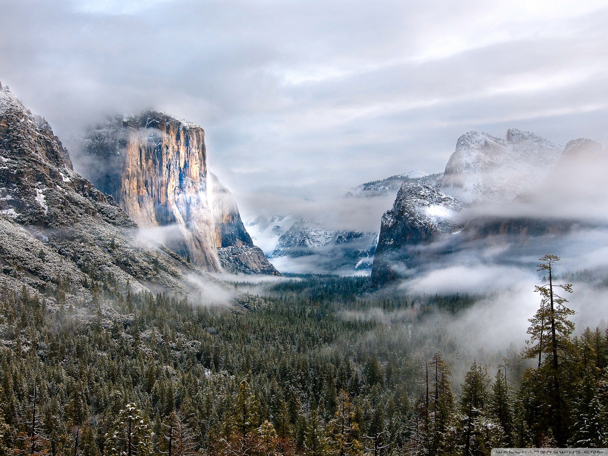 Yellowstone National Park Ultra HD