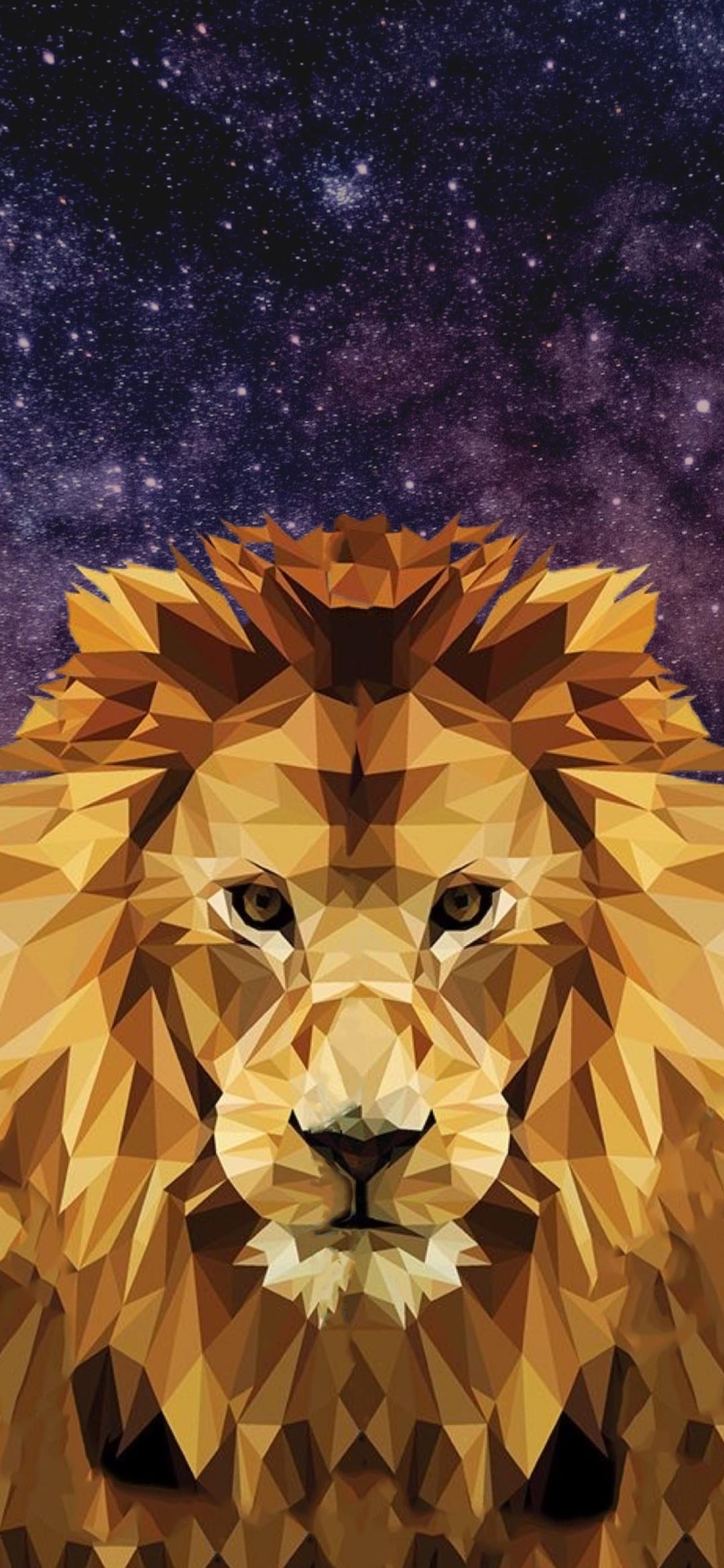 Lion Geometric Wallpaper 12 13