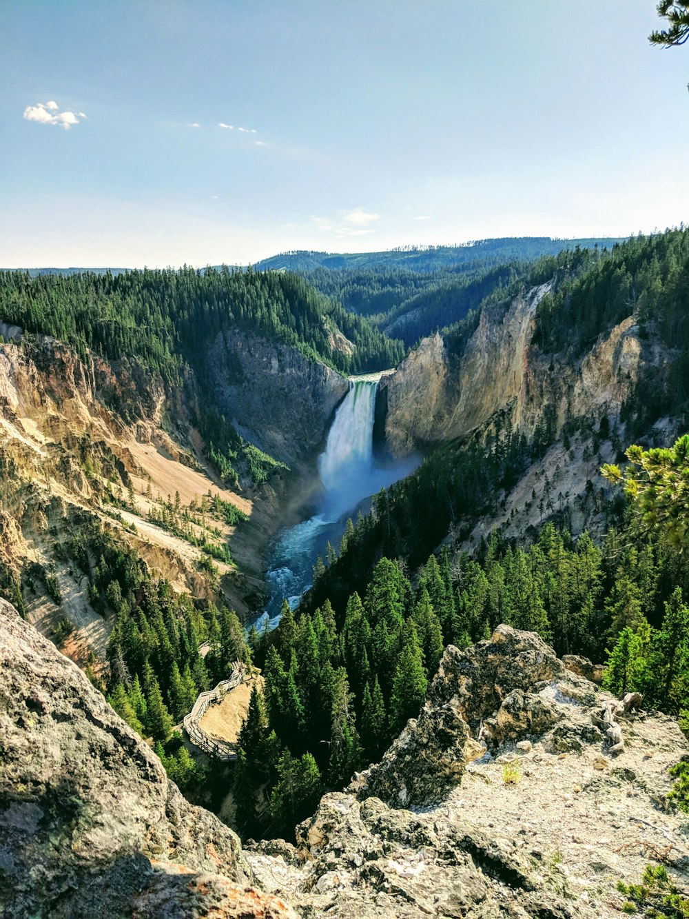 Yellowstone National Park Picture