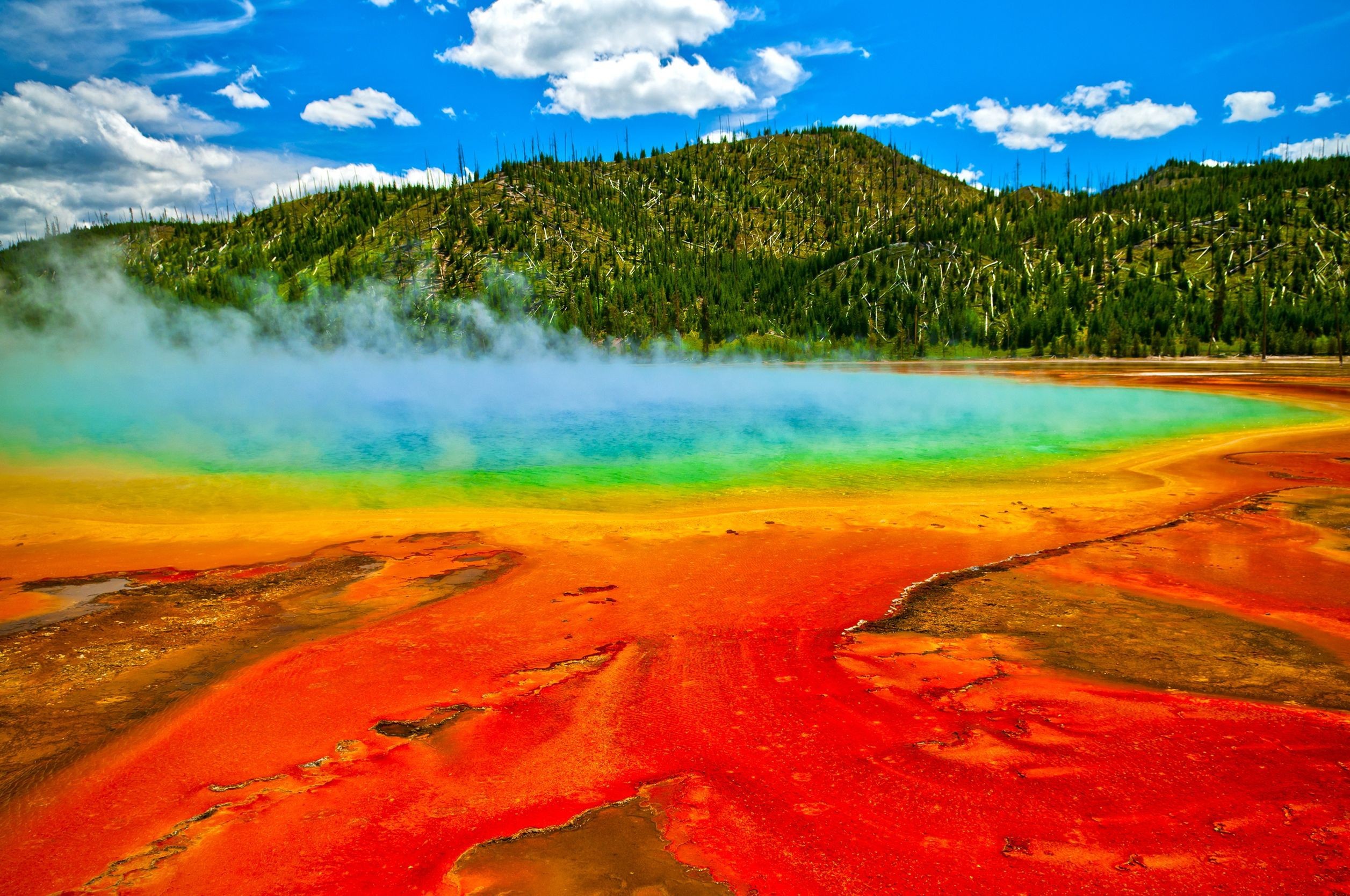 Yellowstone National Park Nature HD