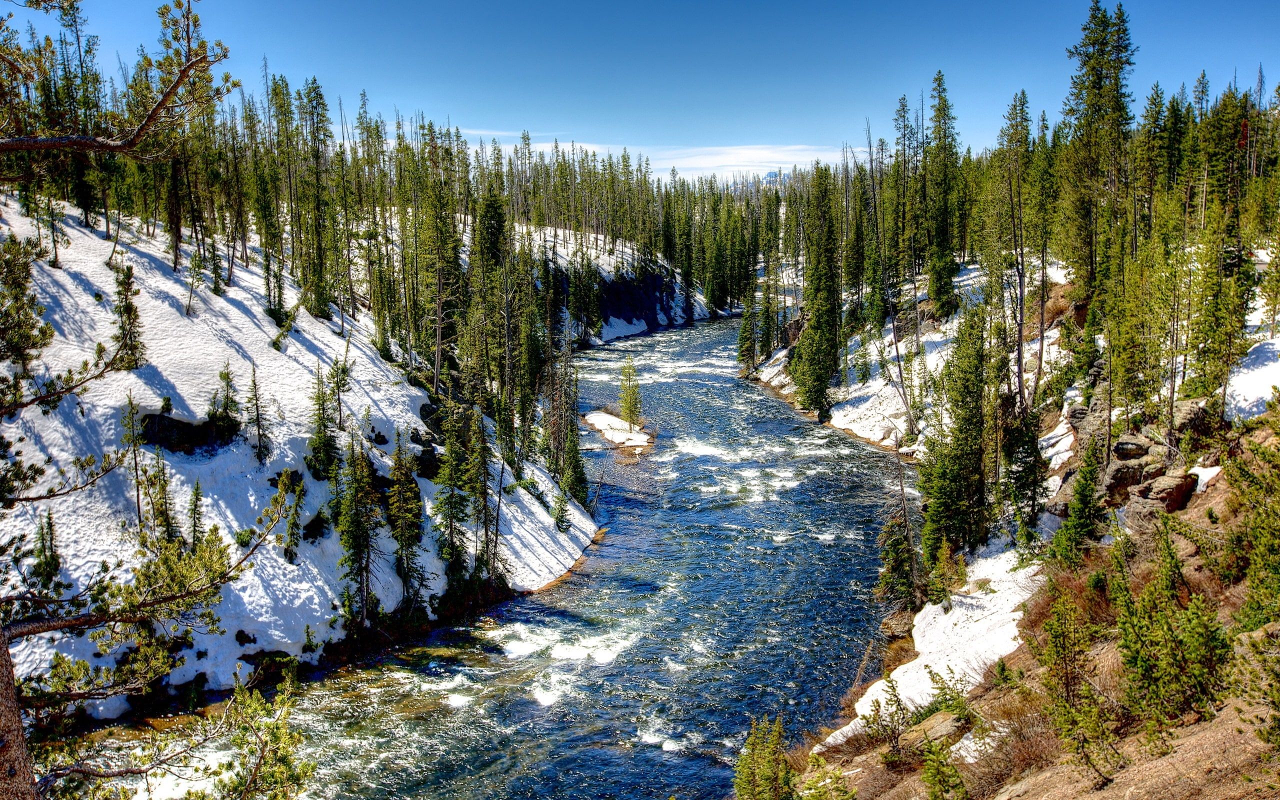 Winter Wonderland at Yellowstone