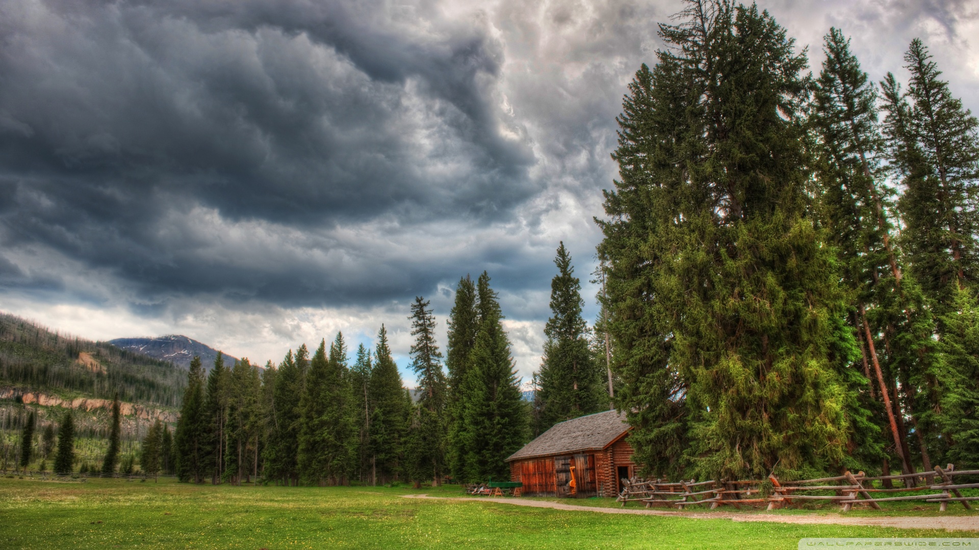 Yellowstone National Park Landscape