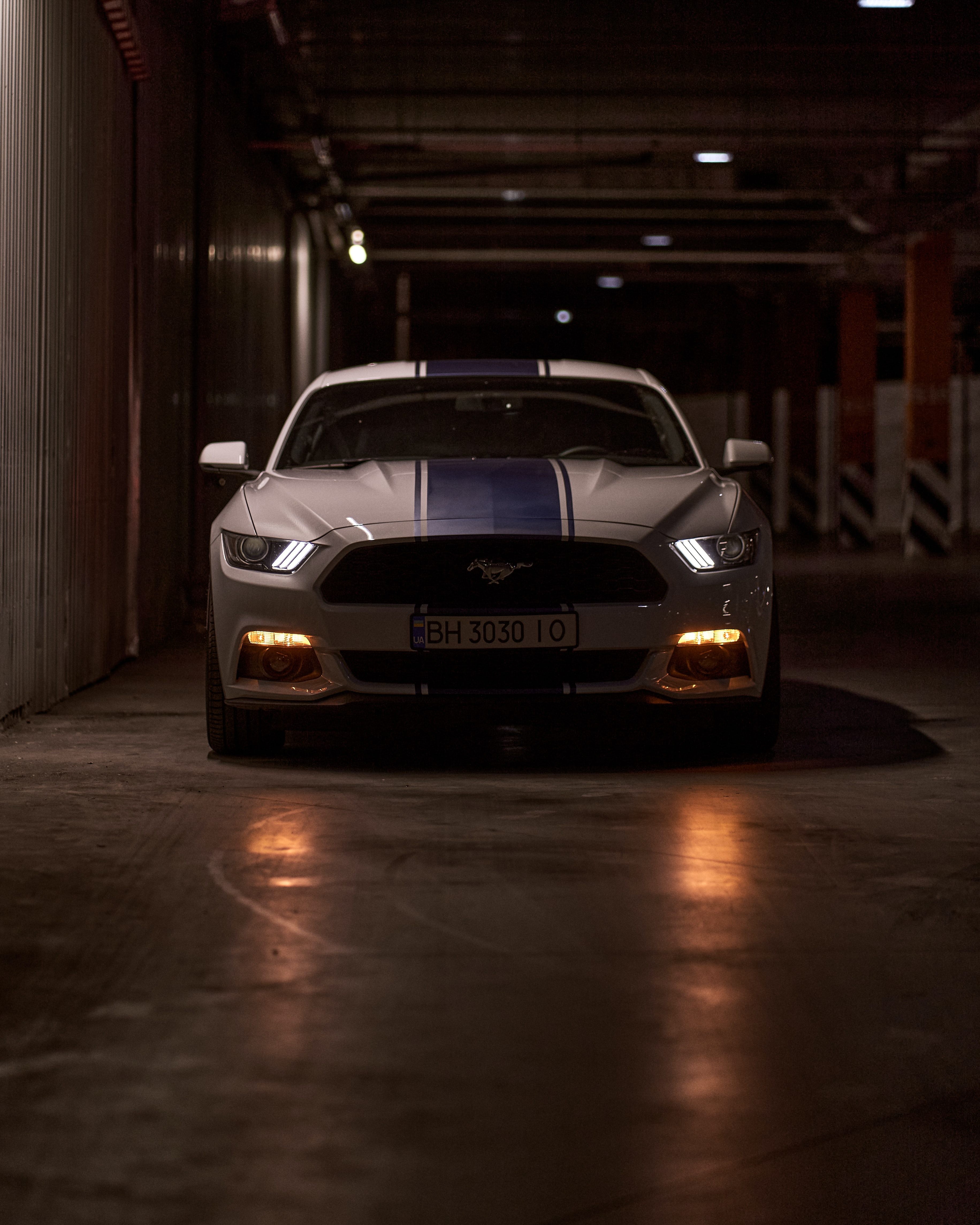 Download Mustang wallpaper