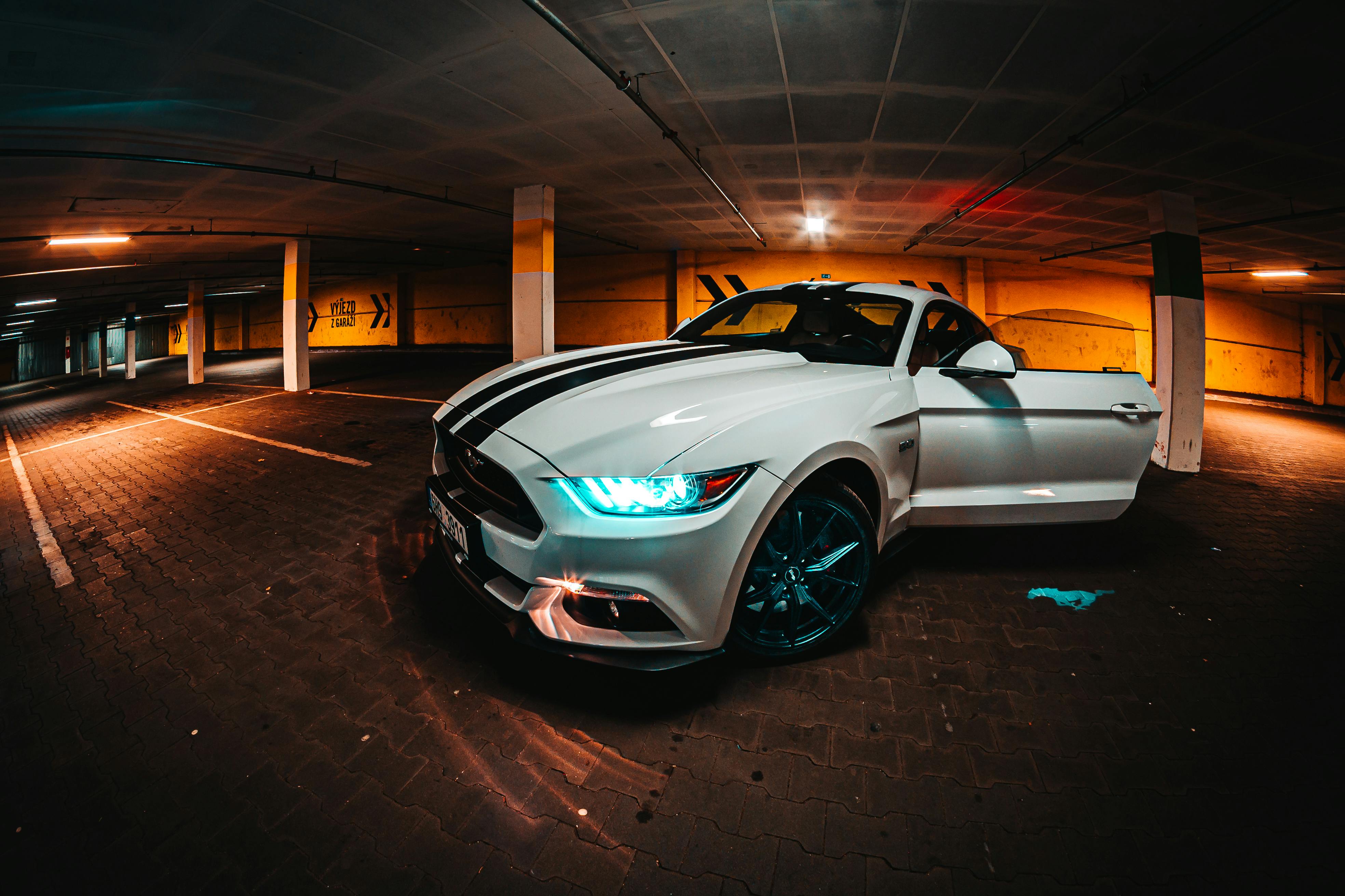 Mustang Photo, Download The BEST Free
