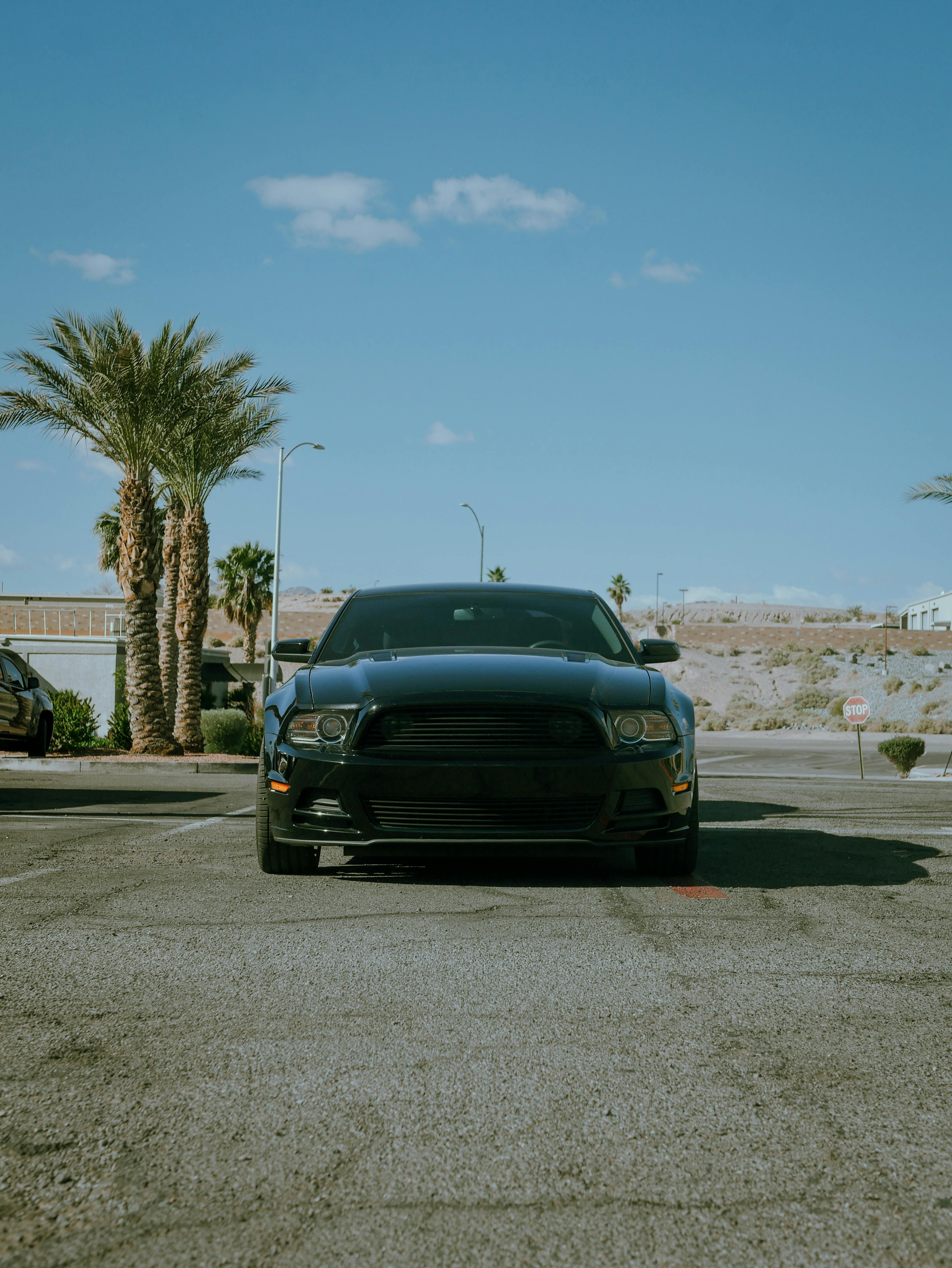 Mustang Gt Photo, Download The BEST