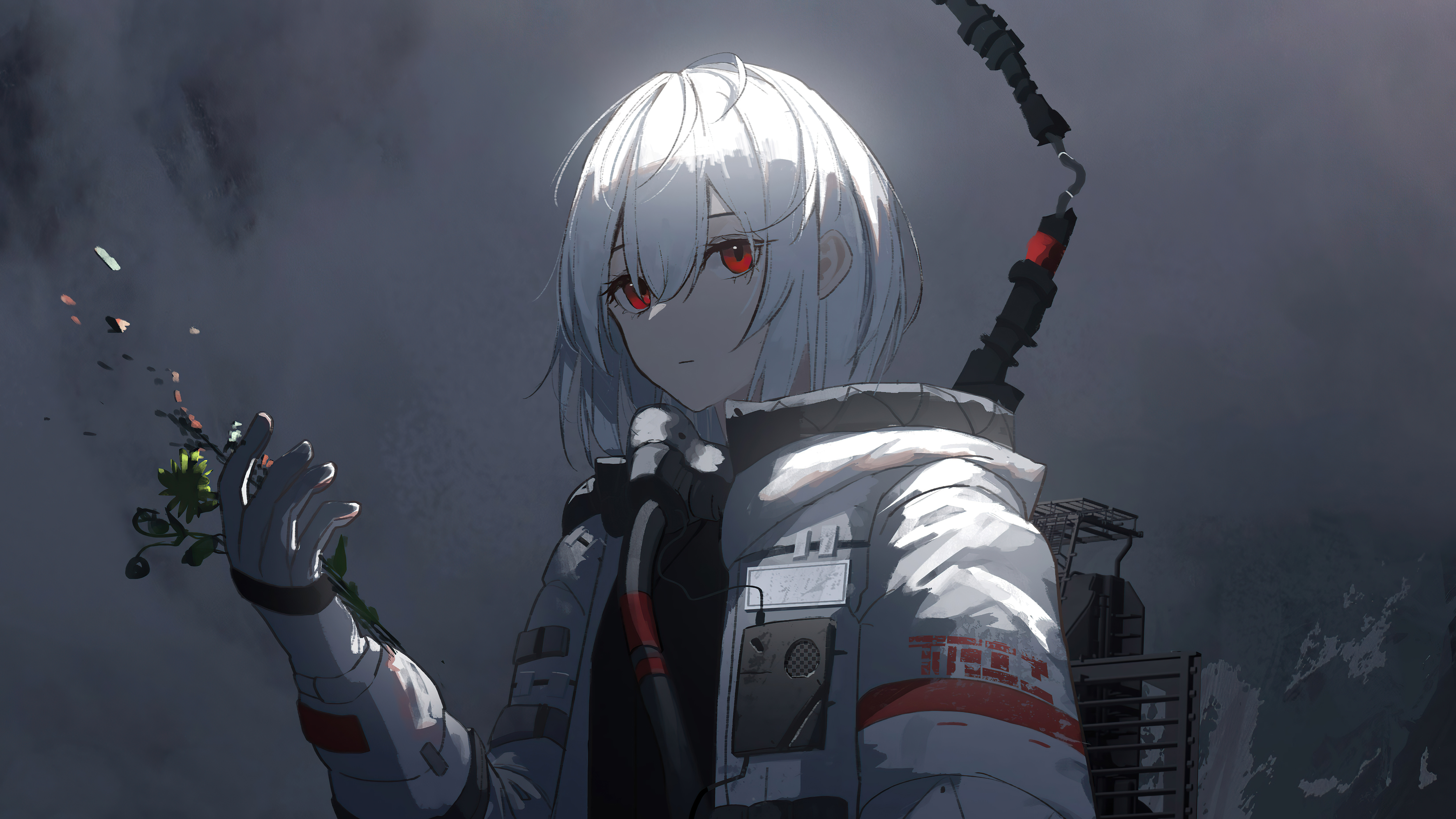 Observer Anime Girl 5k Wallpaper, HD