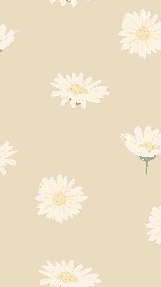 Minimalist Daisy iPhone Wallpaper