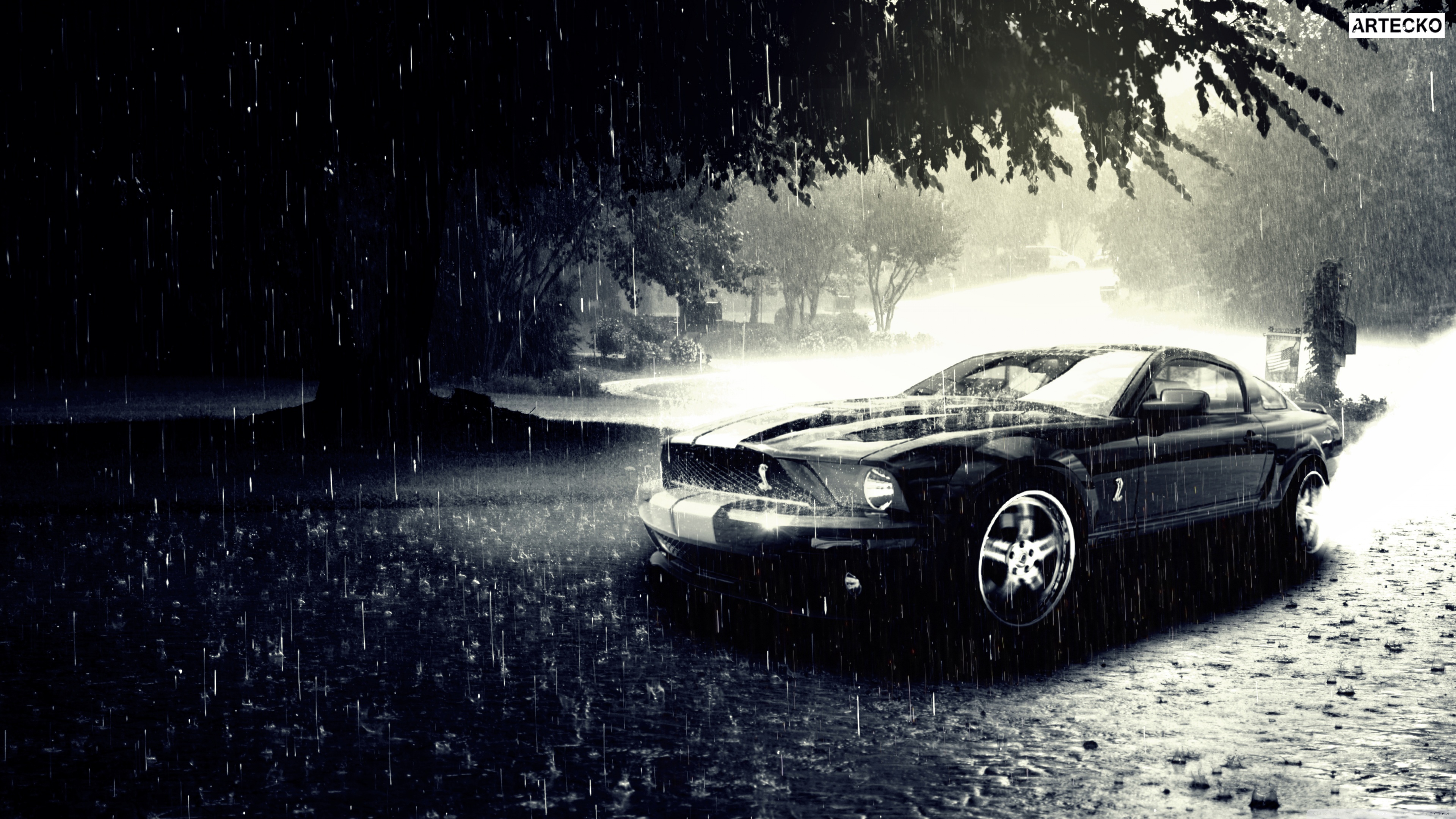 Desktop Background Wallpaper for 4K UHD