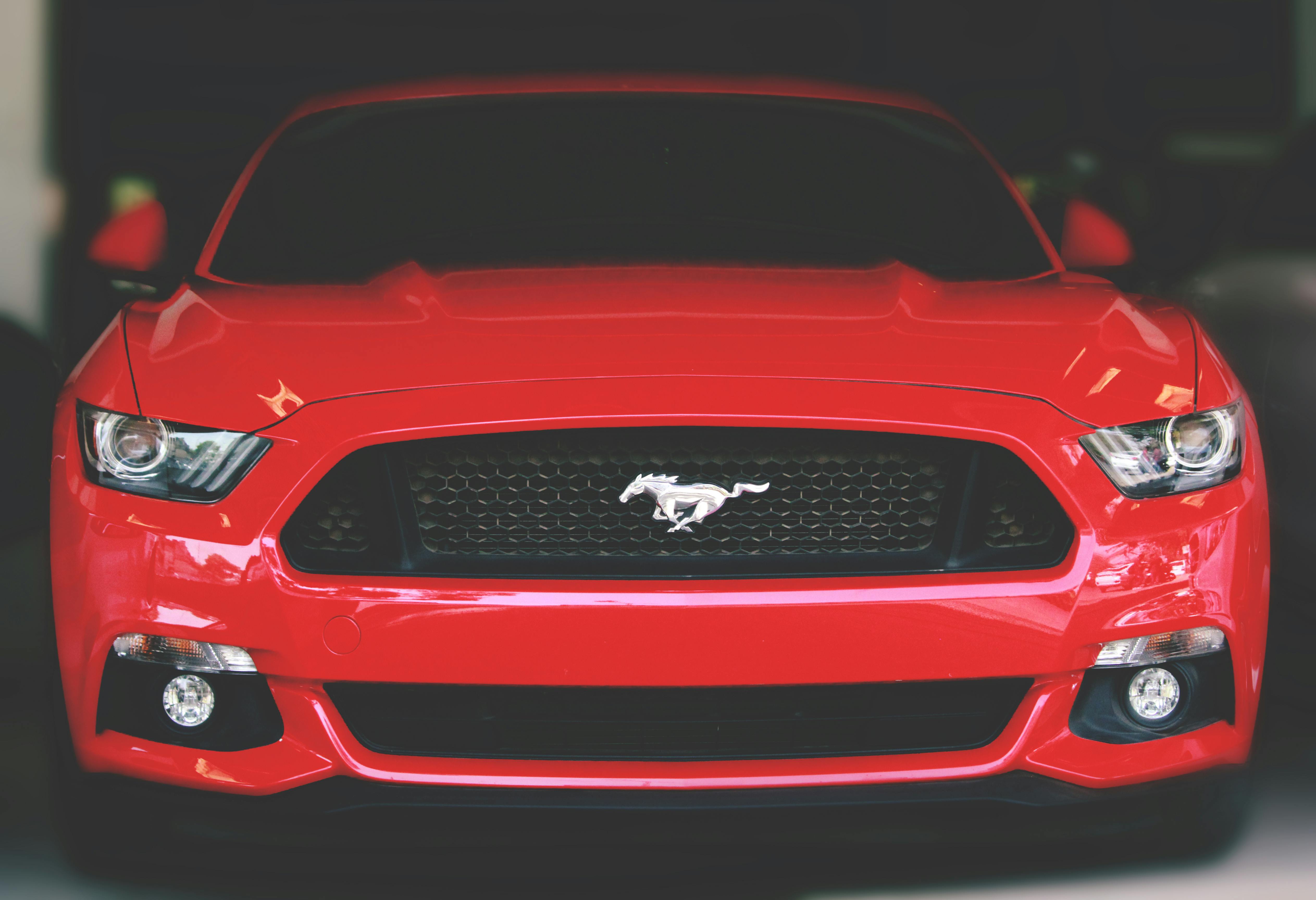Mustang Photo, Download The BEST Free