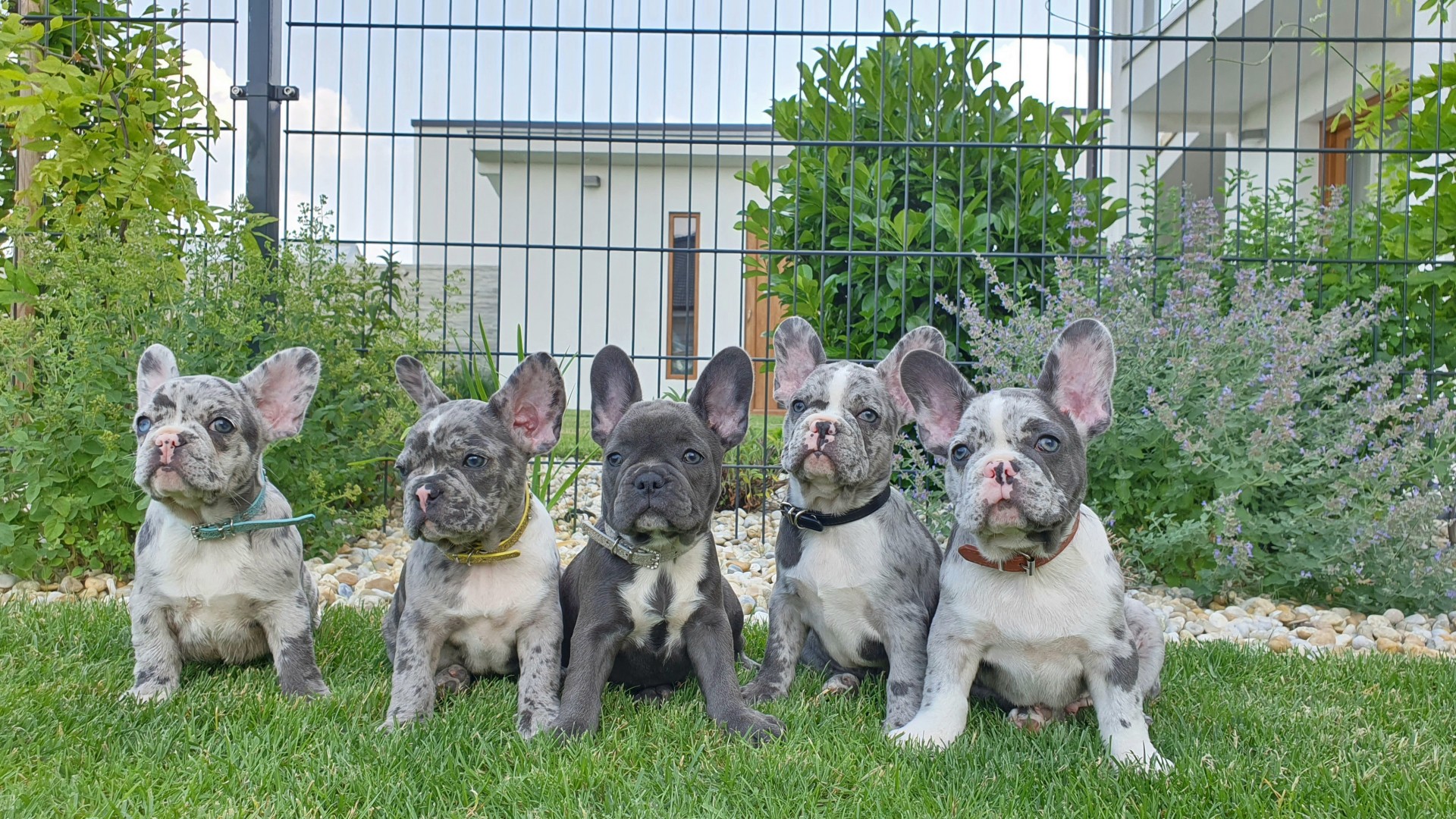 From Family to Family