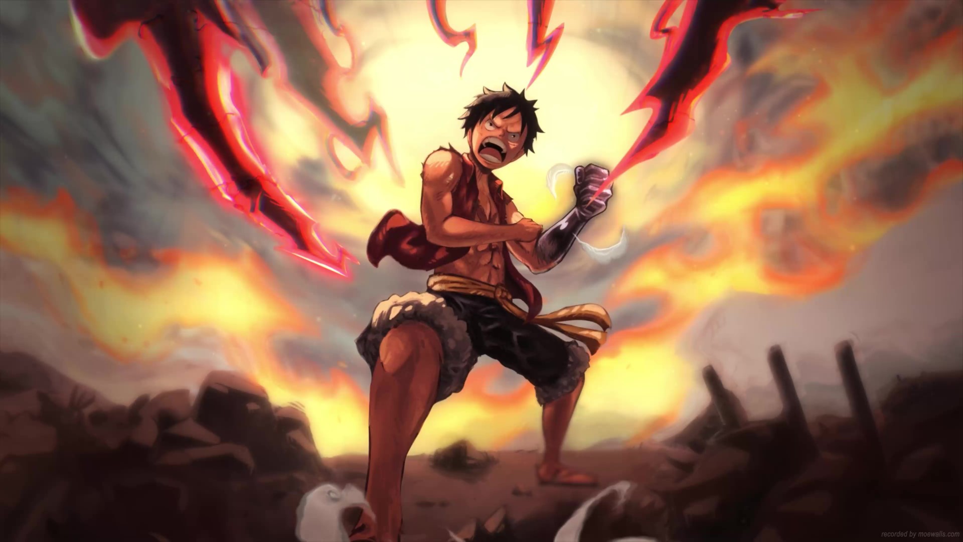 One Piece Live Wallpaper, Animated