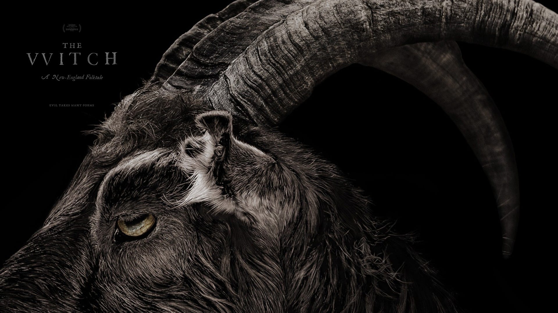 The VVitch. Review. FilmRush. Revie