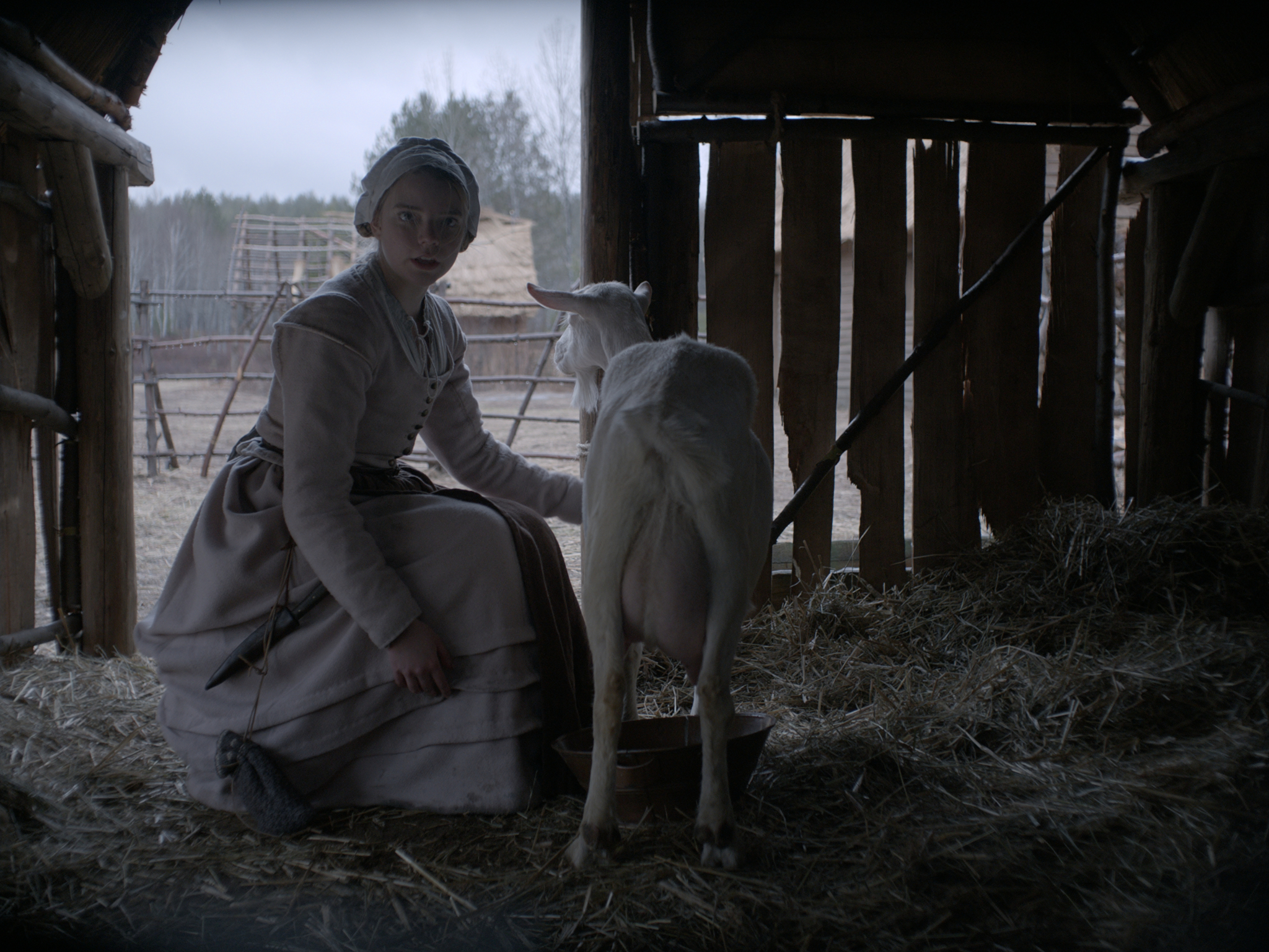 The Witch