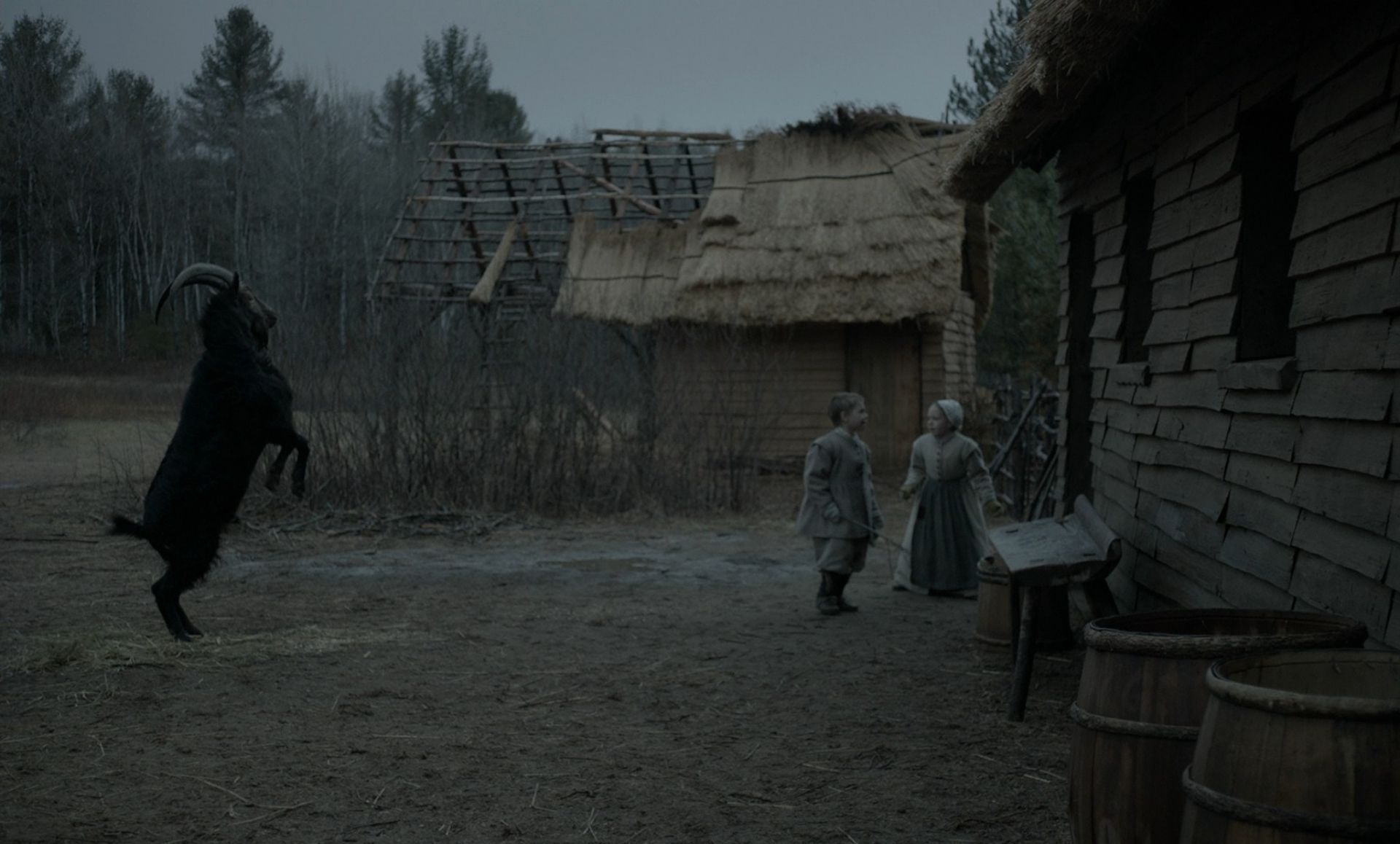 Cinematography