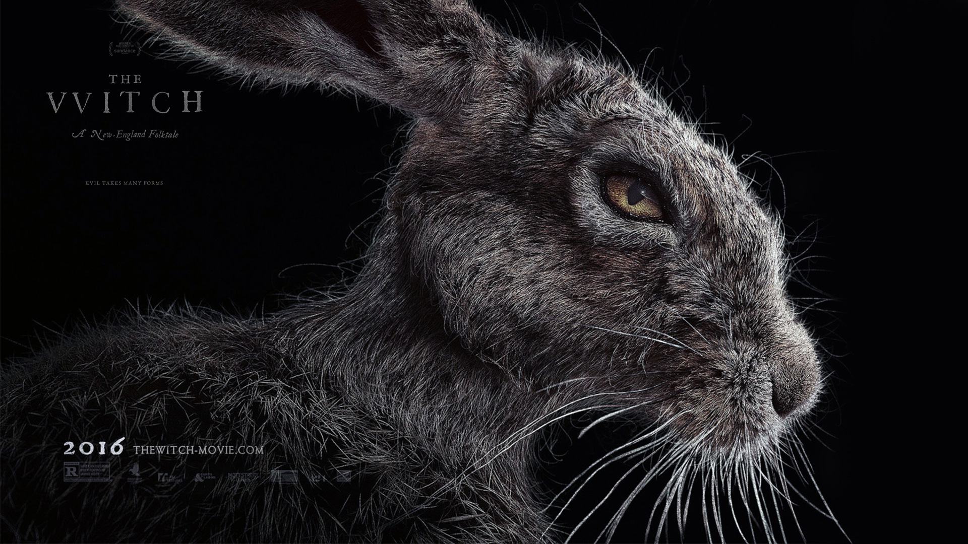 The Witch 2015 Subtitles Clearance