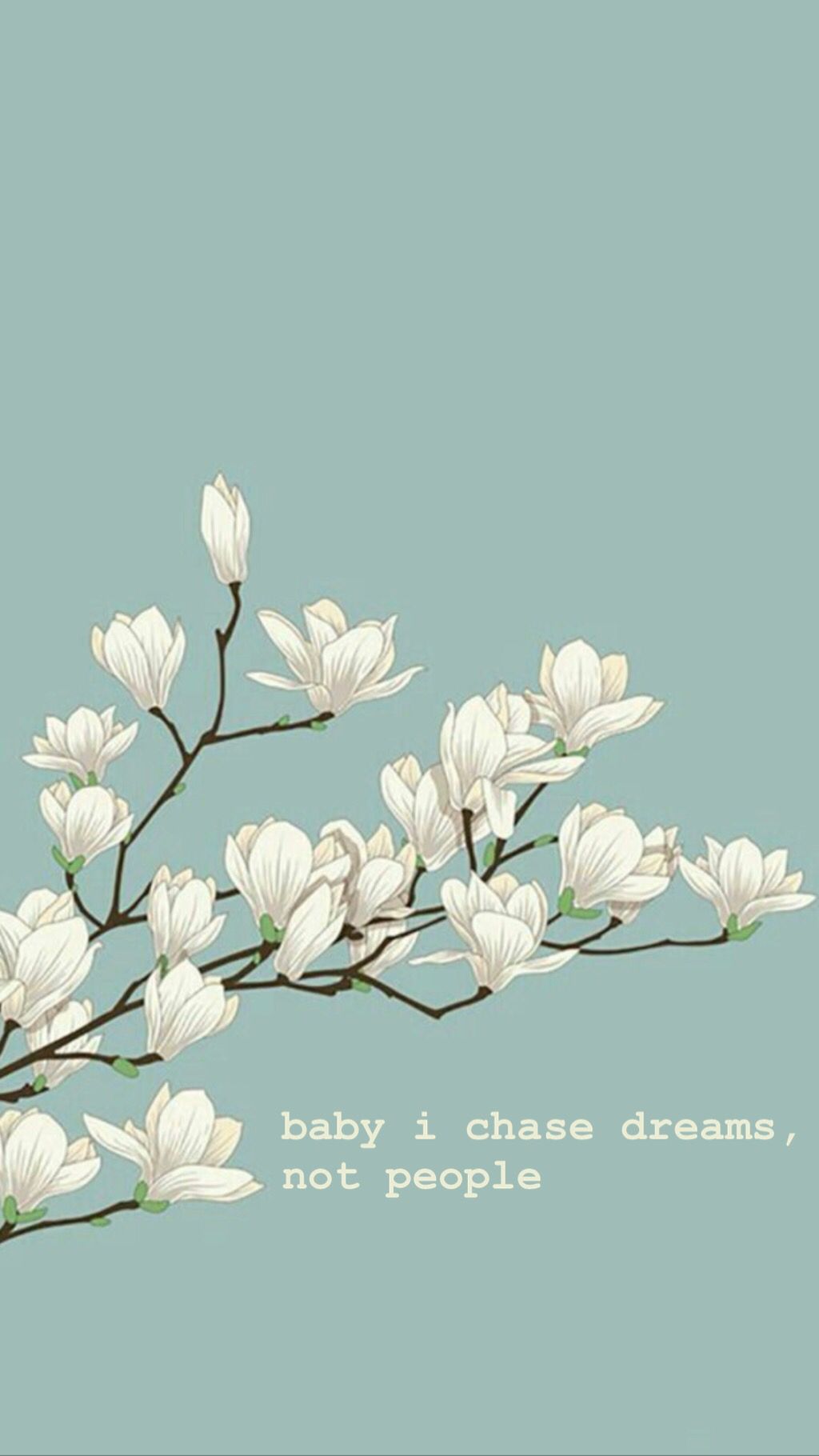 baby i chase dreams, not people
