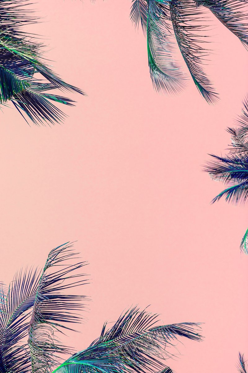 Pink Palm Trees Image. Free Photo