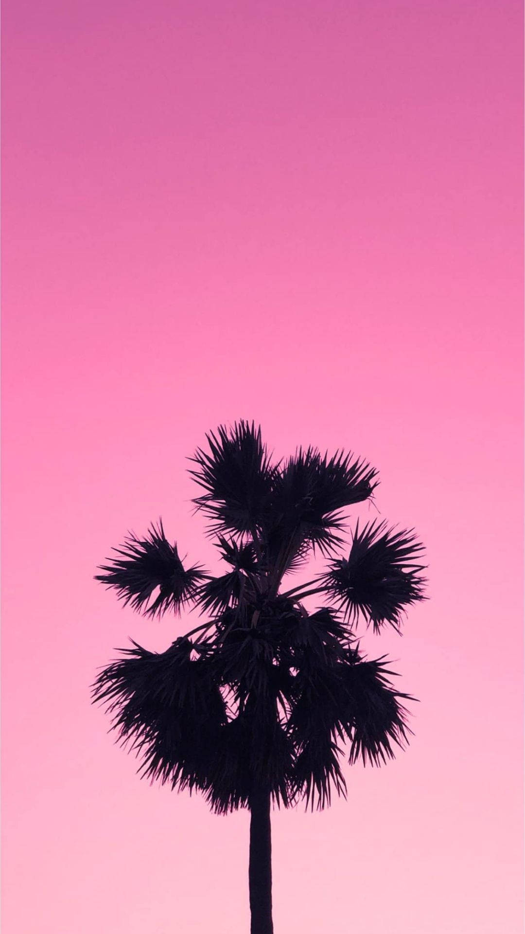 Download free Palm Tree On Aesthetic