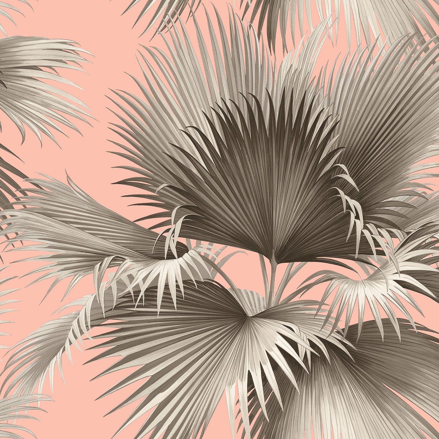2927 81901 Summer Palm Blush Tropical Wallpaper