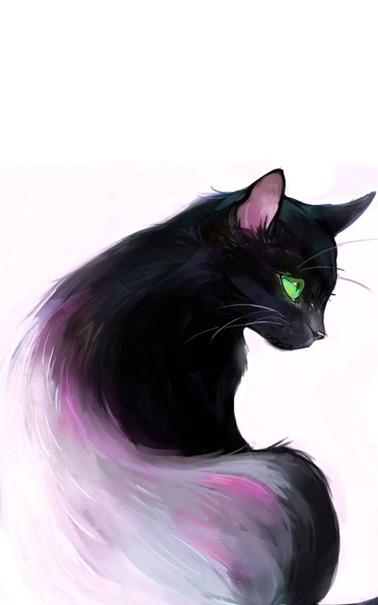 Black cat art, Black cat drawing