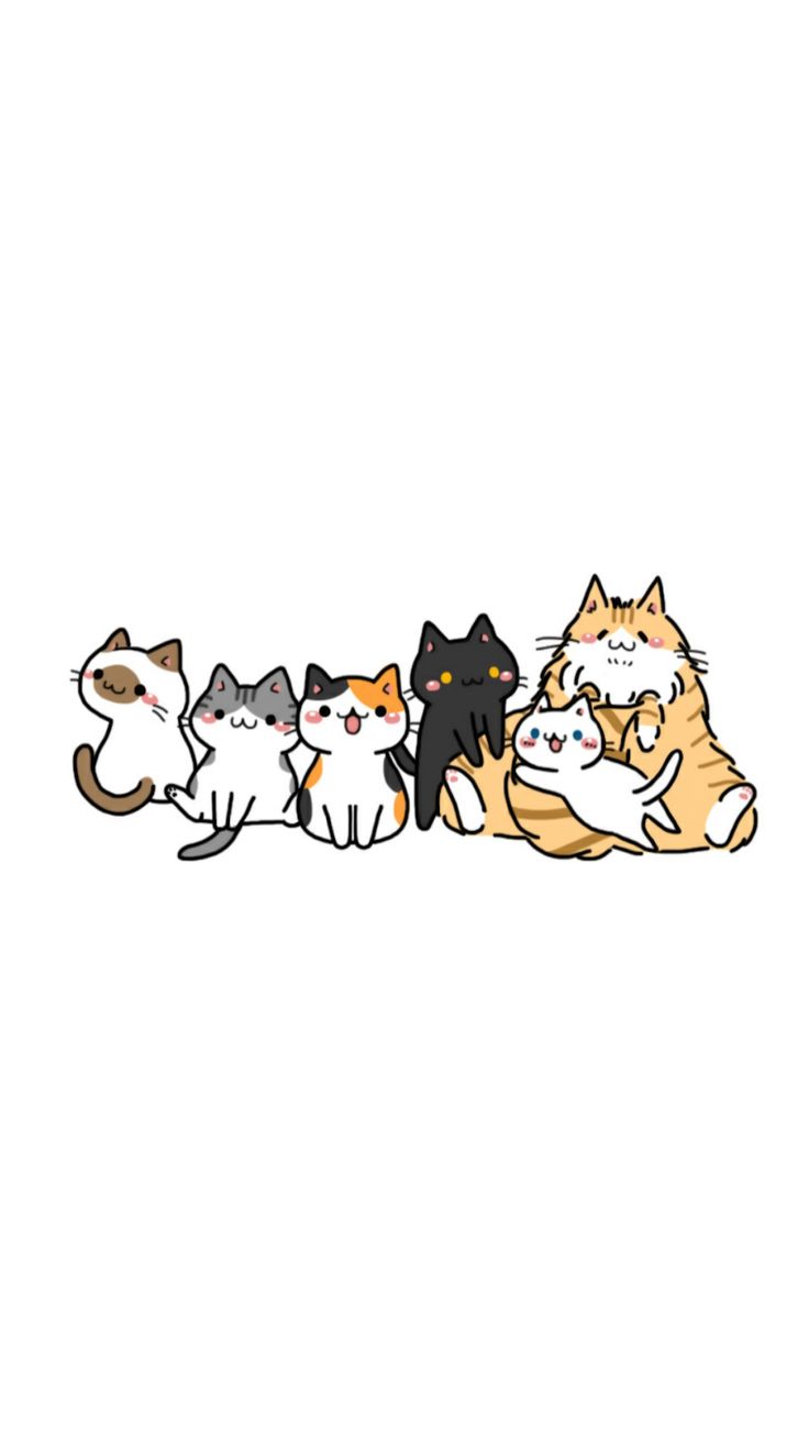 Cute cartoon wallpaper, Cute cat drawing