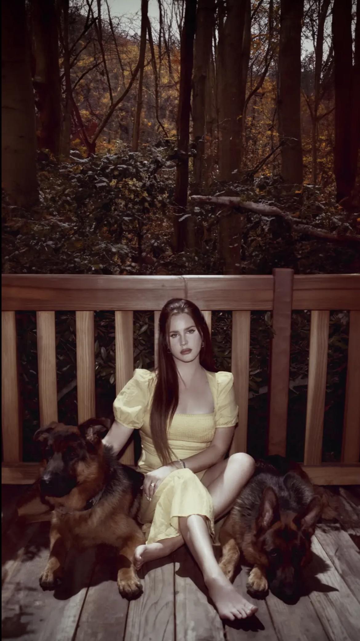 Blue Banisters wallpaper