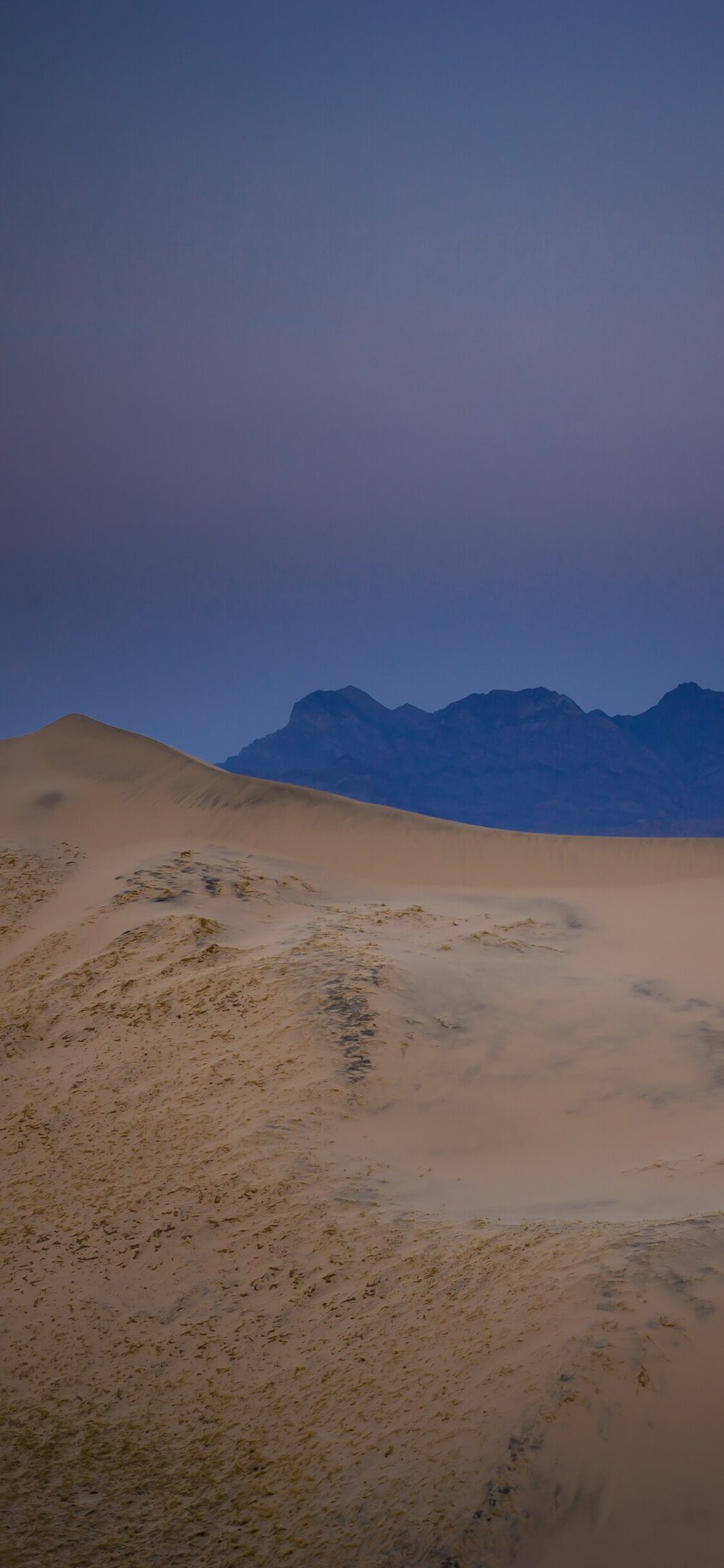 Mojave National Preserve