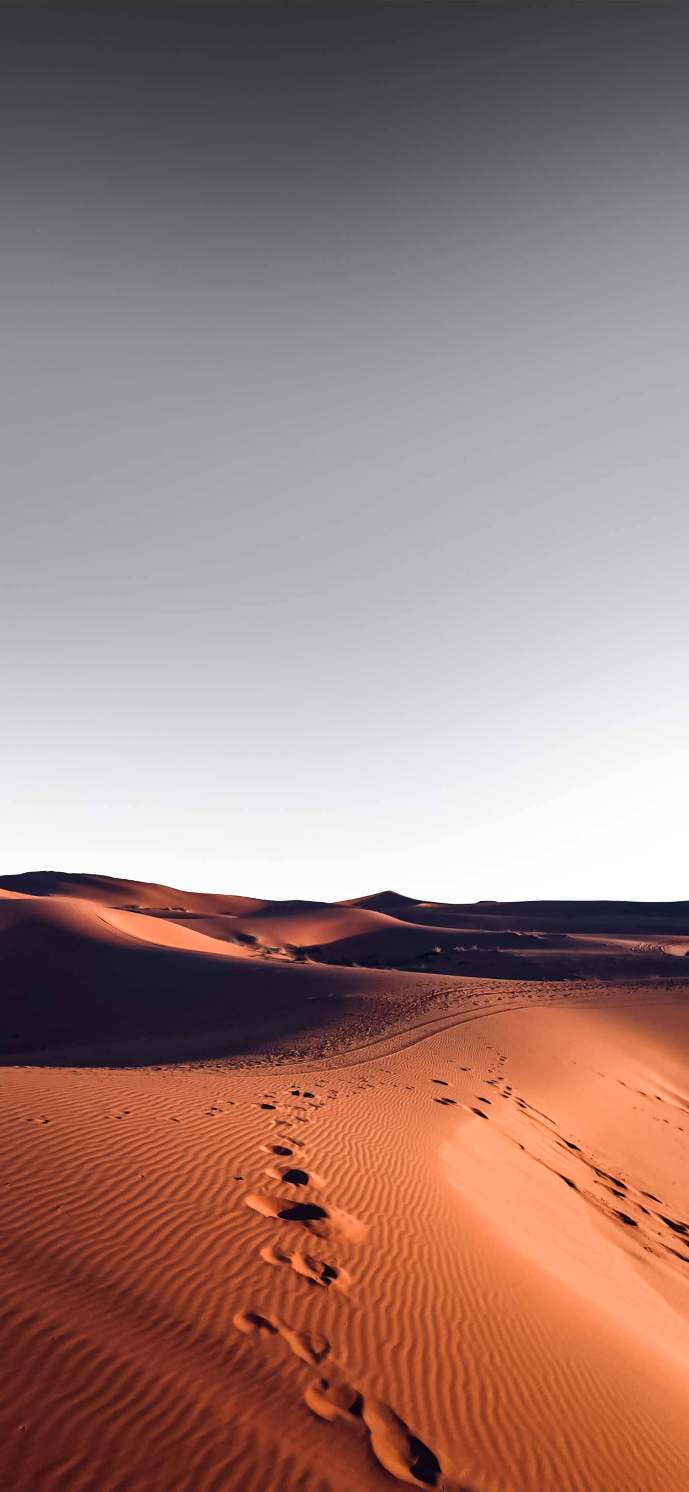 Desert Minimal