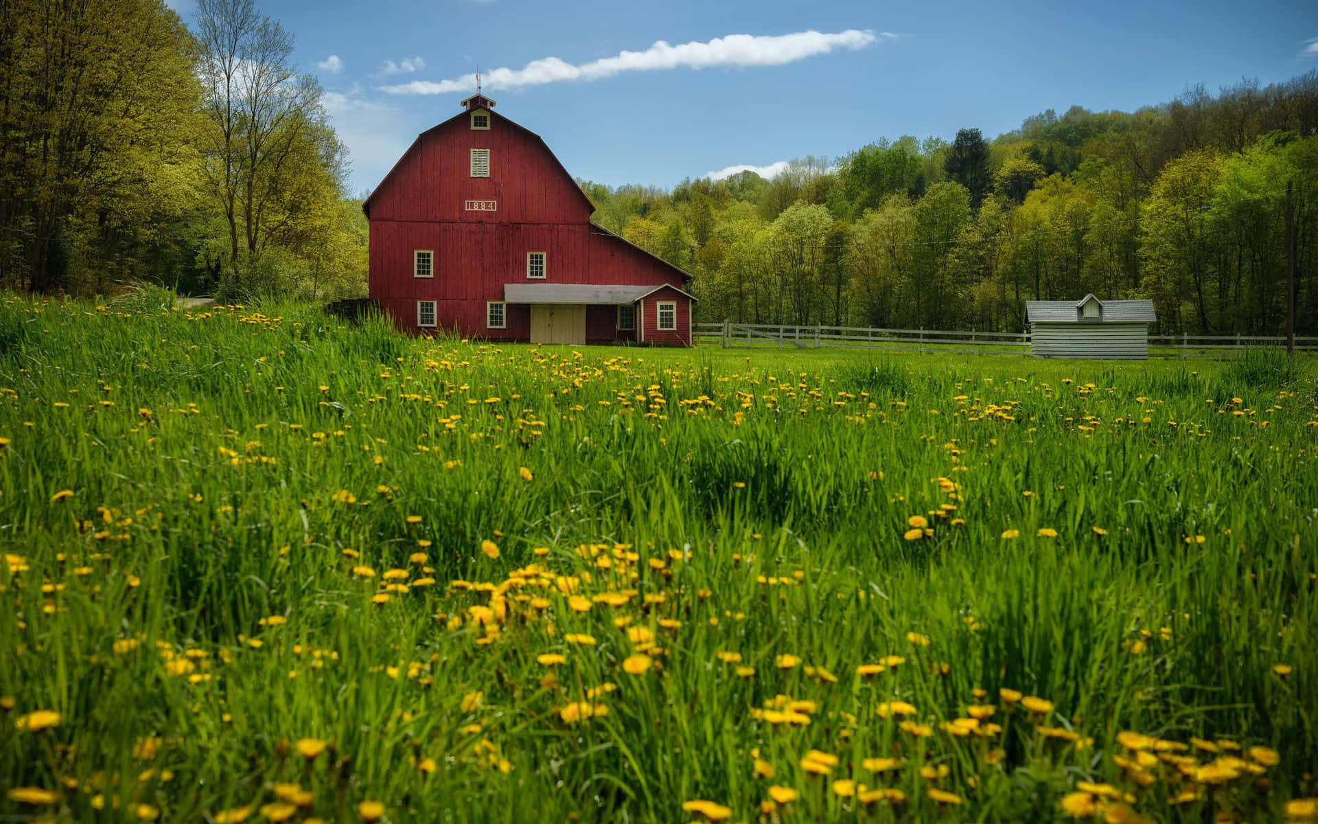 Rustic beauty of a traditional barn