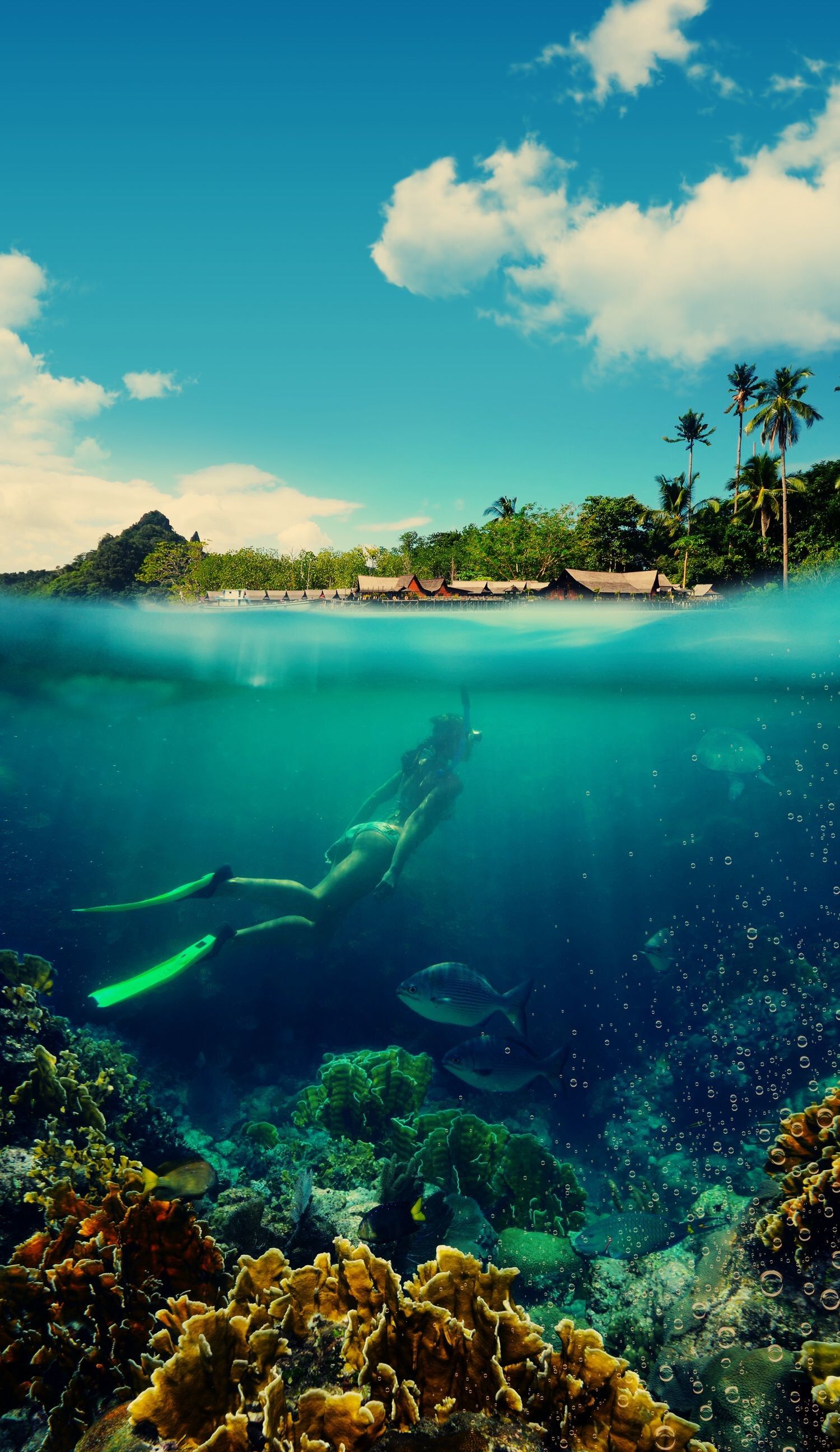 Summer iPhone Wallpaper