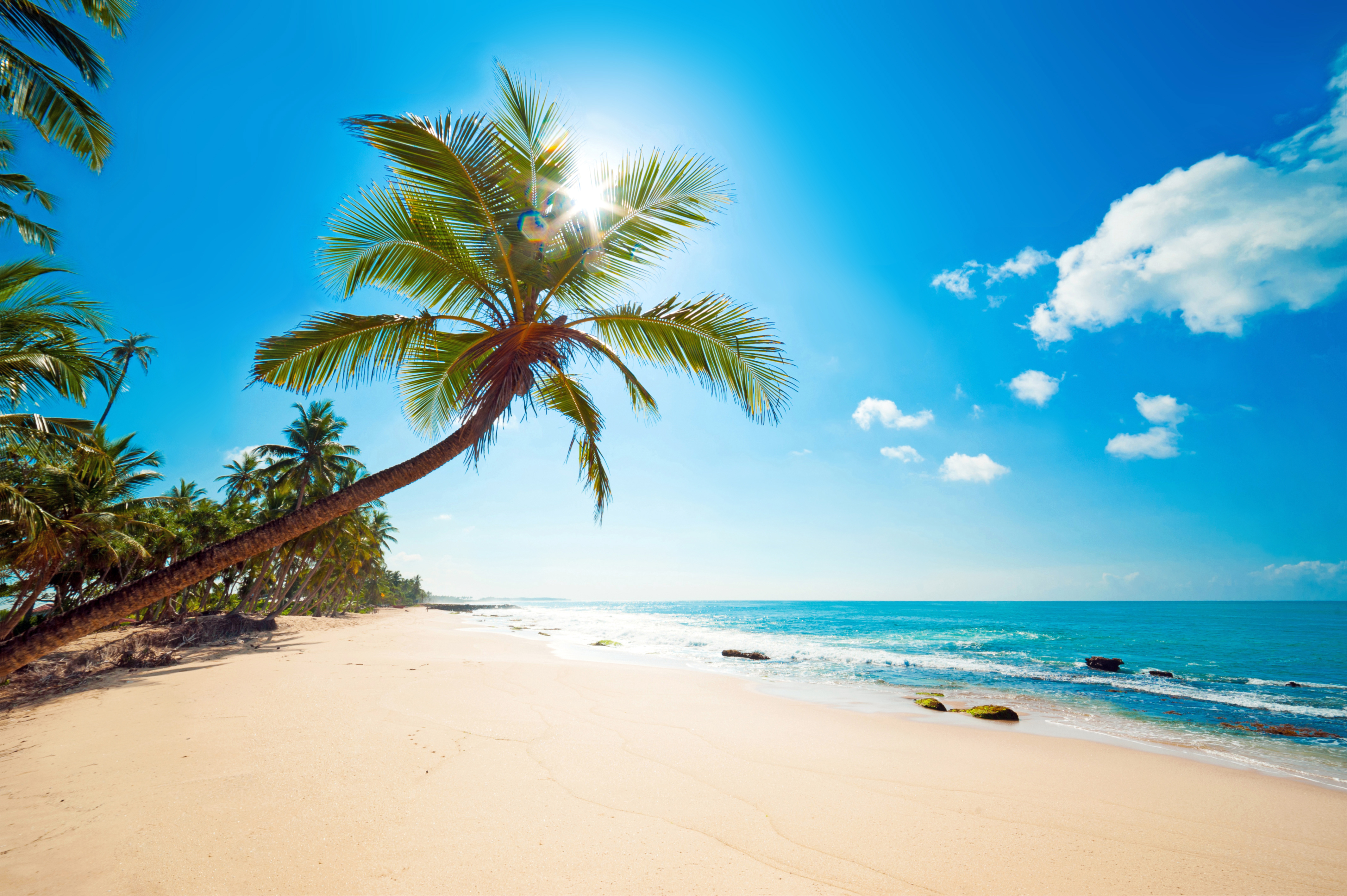 Summer Beach Landscape Background