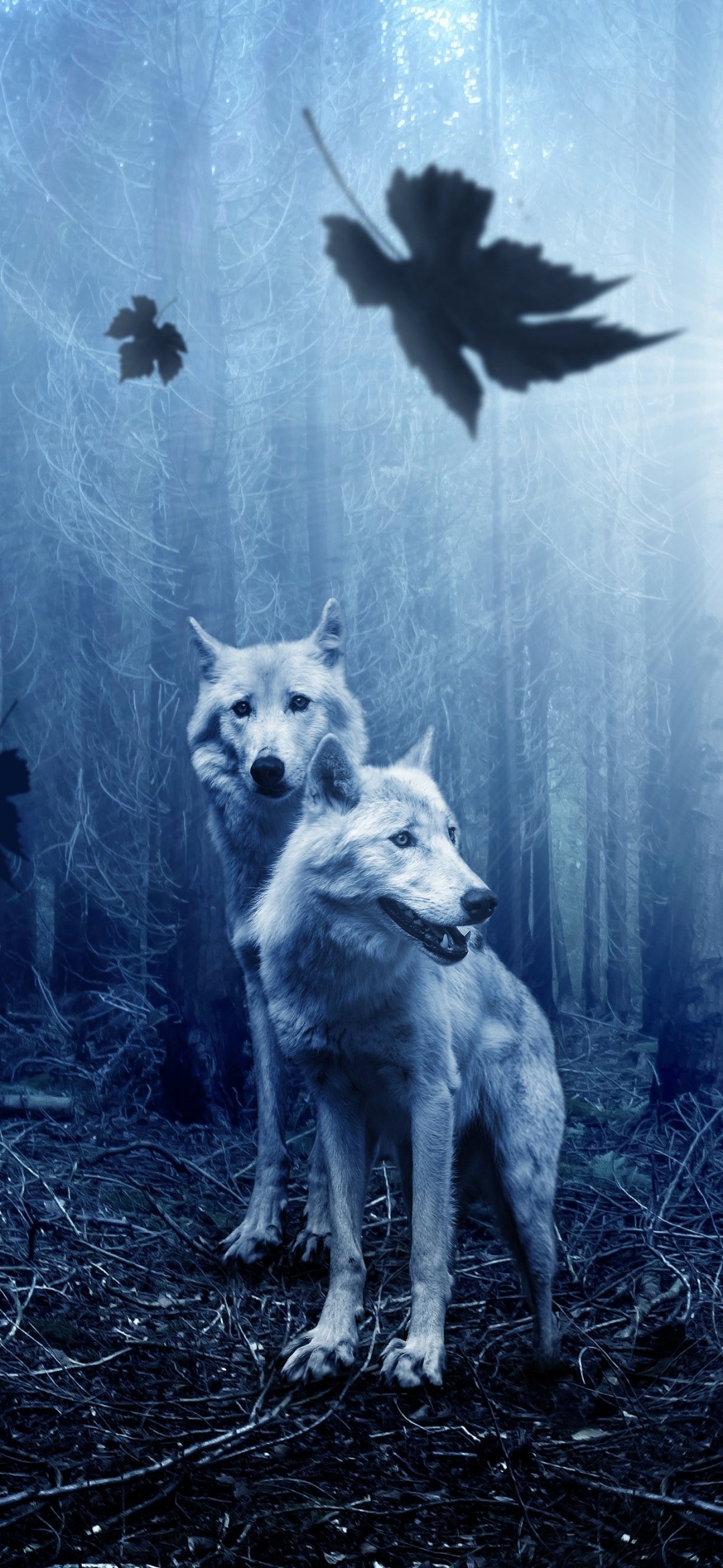 Wolf Wallpaper 4K, Forest, Dark