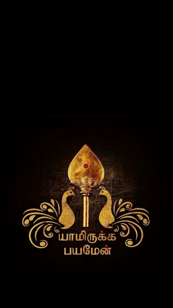 God murugan HD wallpaper