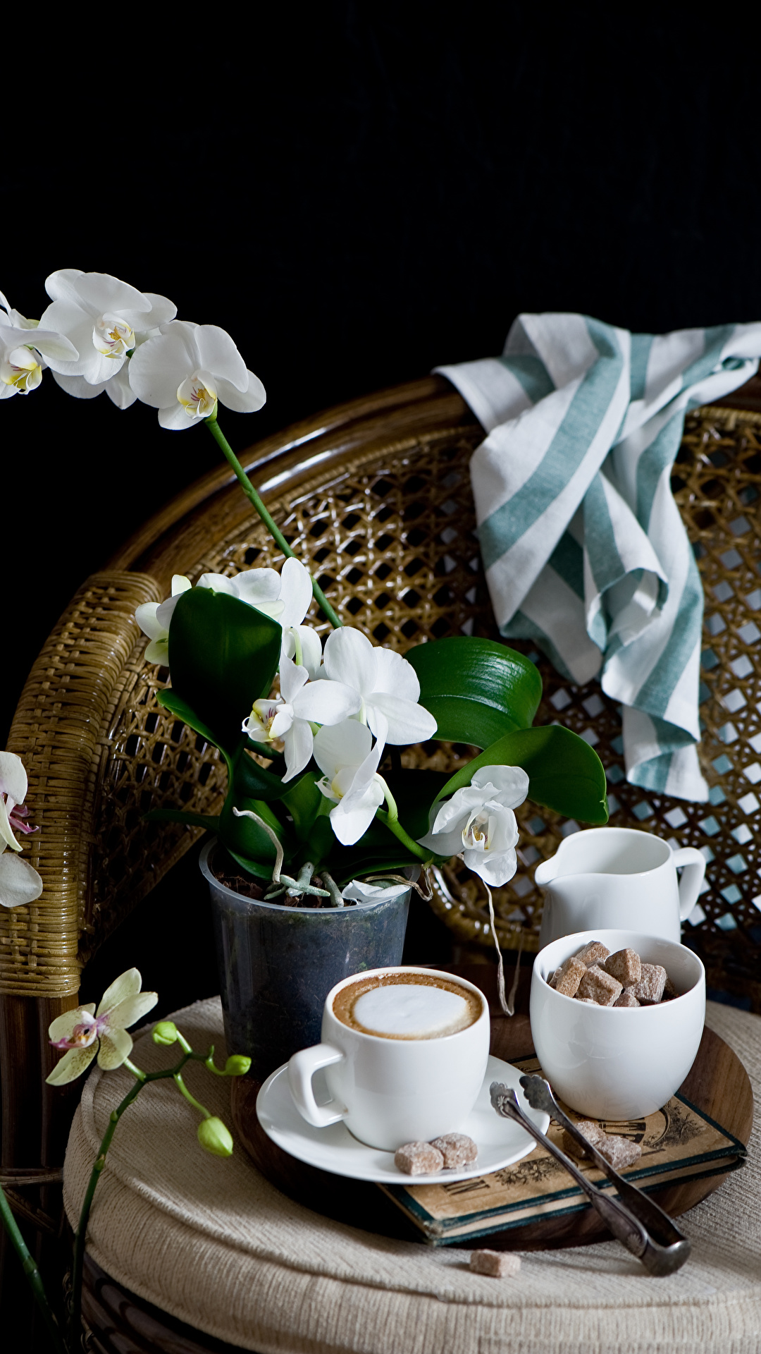 Desktop Wallpaper Sugar Coffee orchids