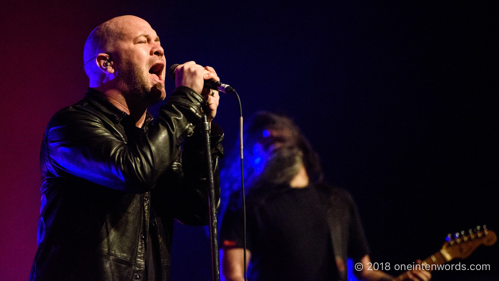 one in ten words: Finger Eleven