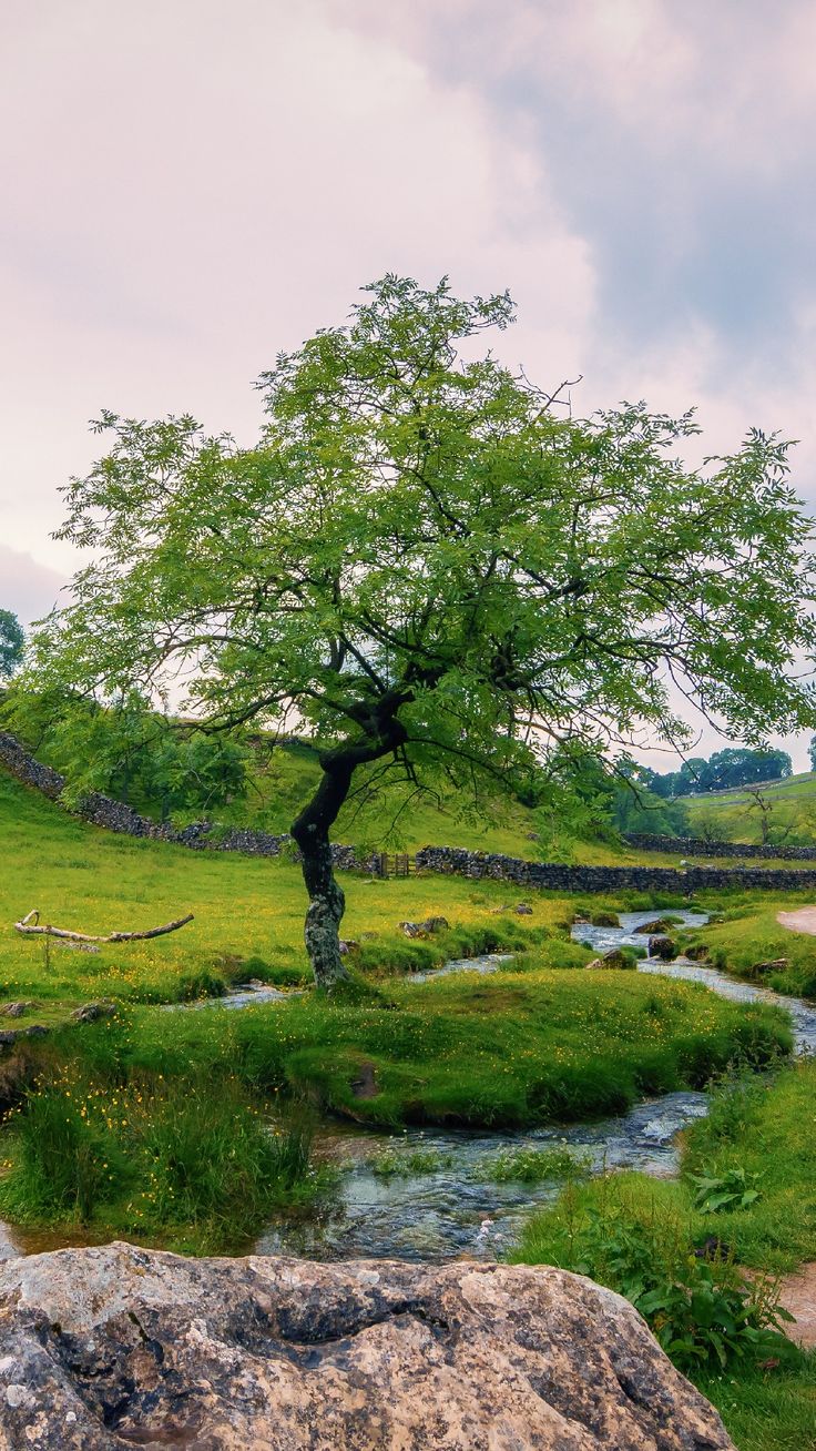 Partition Phone Wallpaper Lockscreen HD