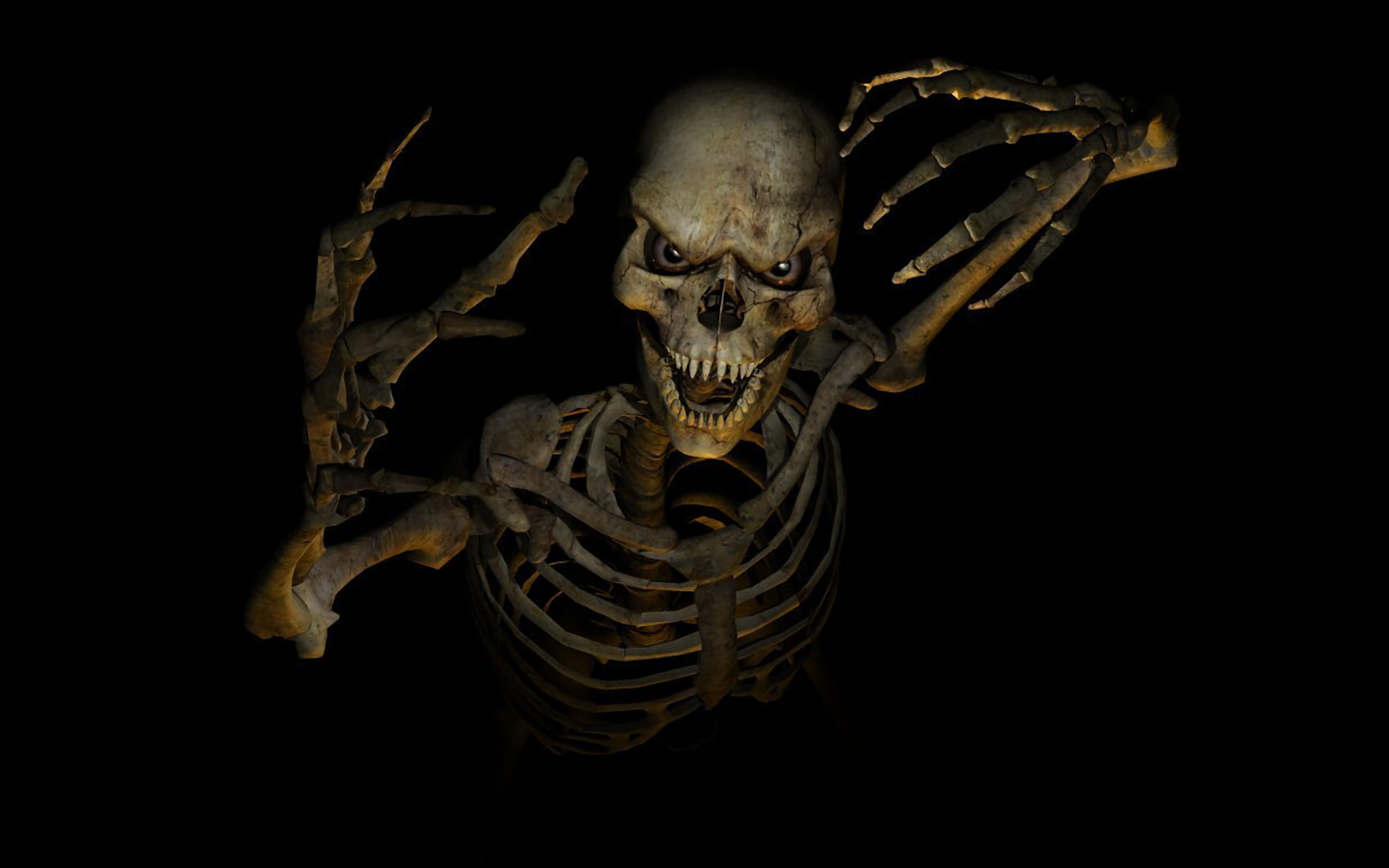 Download Scary Dark Skeleton HD Wallpaper