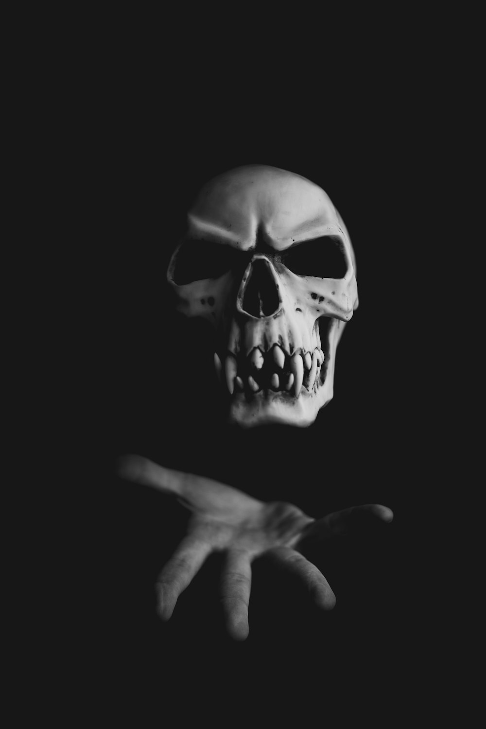 Black Skull Picture. Download Free