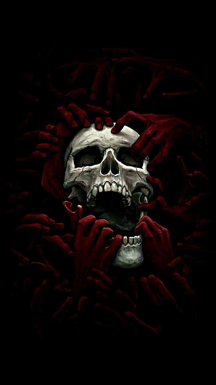 Thrilling Skull Appearance Wallpaper